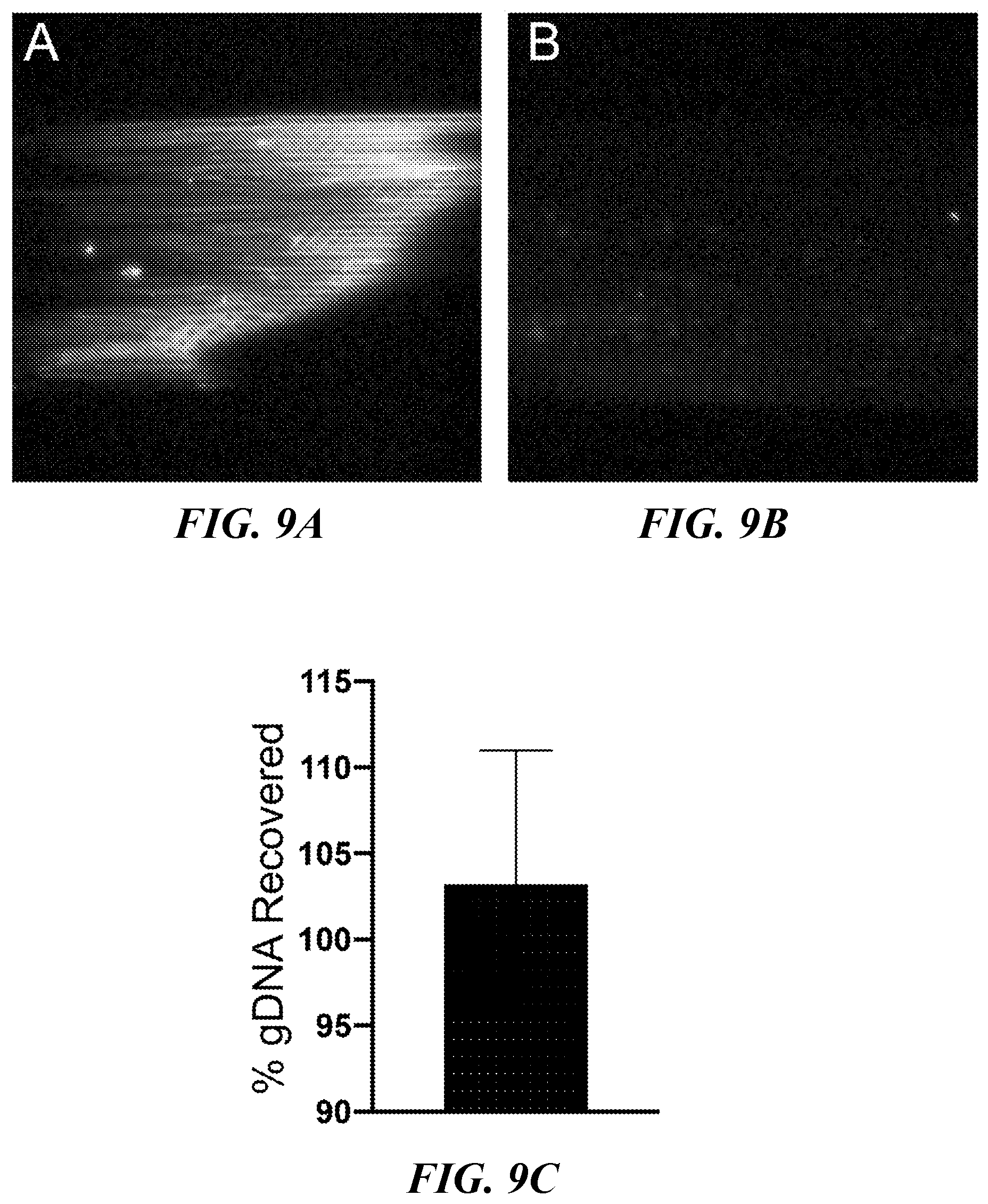 Patent US12338487 Figure 8 – Multiomic analysis of cell analytes using microfluidic systems