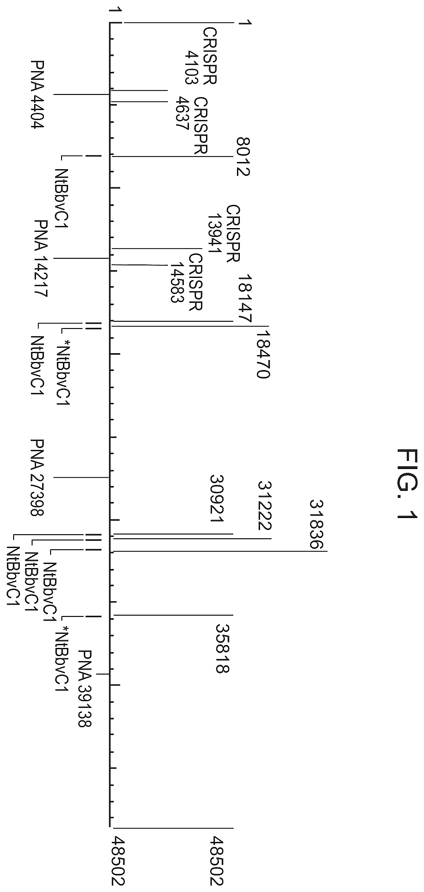 Patent US12338488 — Logic driven polynucleotide scanning for mapping features in a nanopore device — Figure 1
