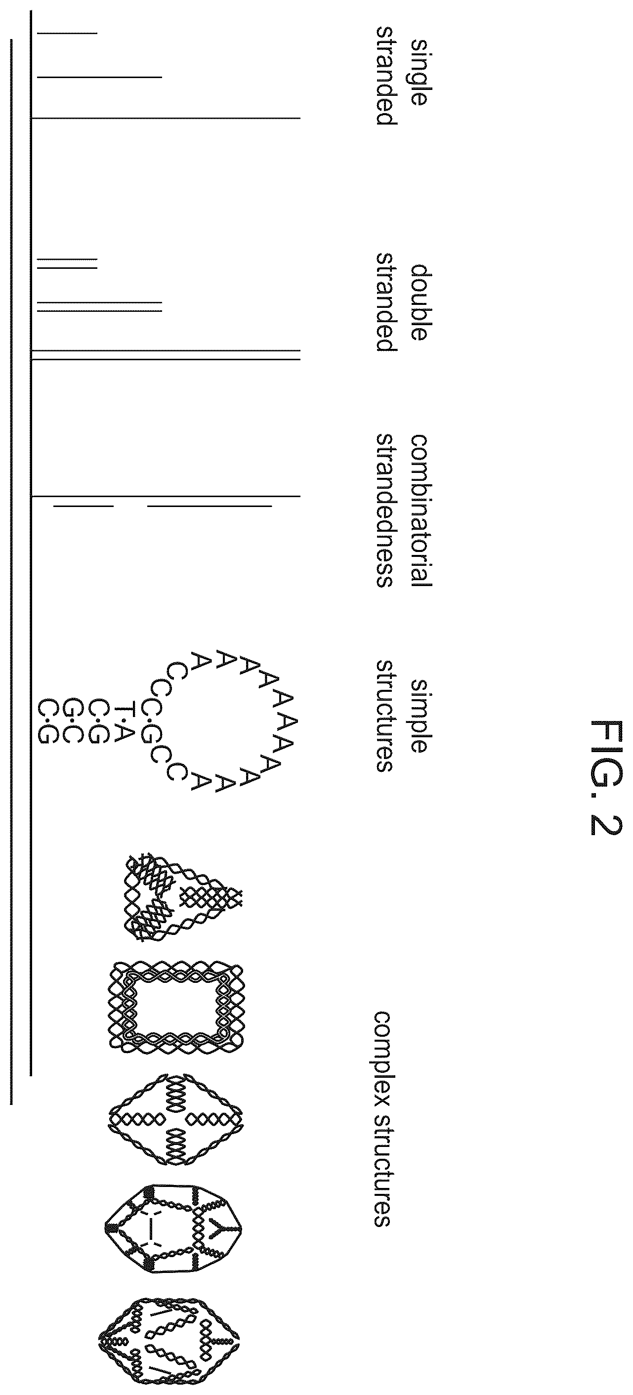 Patent US12338488 Figure 2 – Logic driven polynucleotide scanning for mapping features in a nanopore device