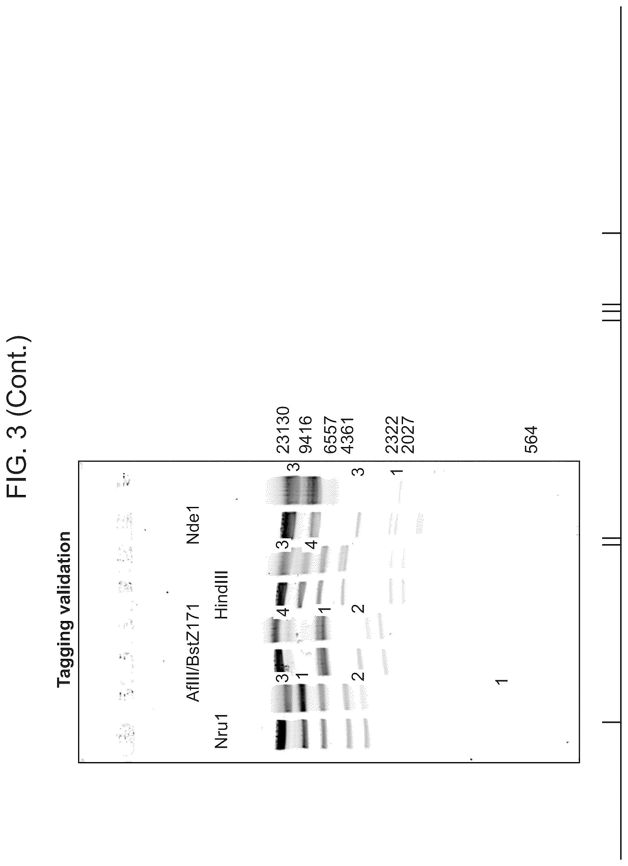 Patent US12338488 Figure 6 – Logic driven polynucleotide scanning for mapping features in a nanopore device