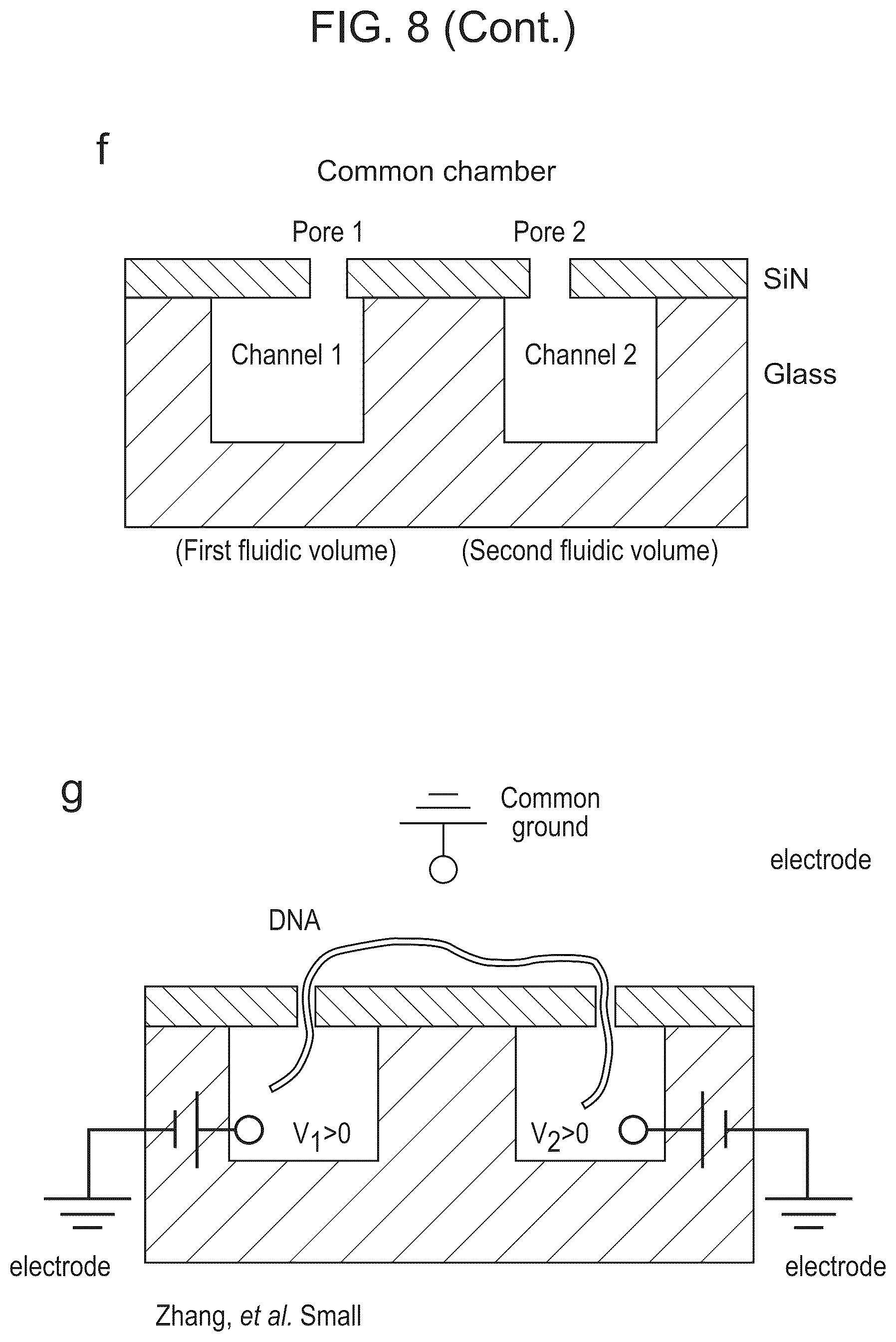 Patent US12338488 Figure 12 – Logic driven polynucleotide scanning for mapping features in a nanopore device
