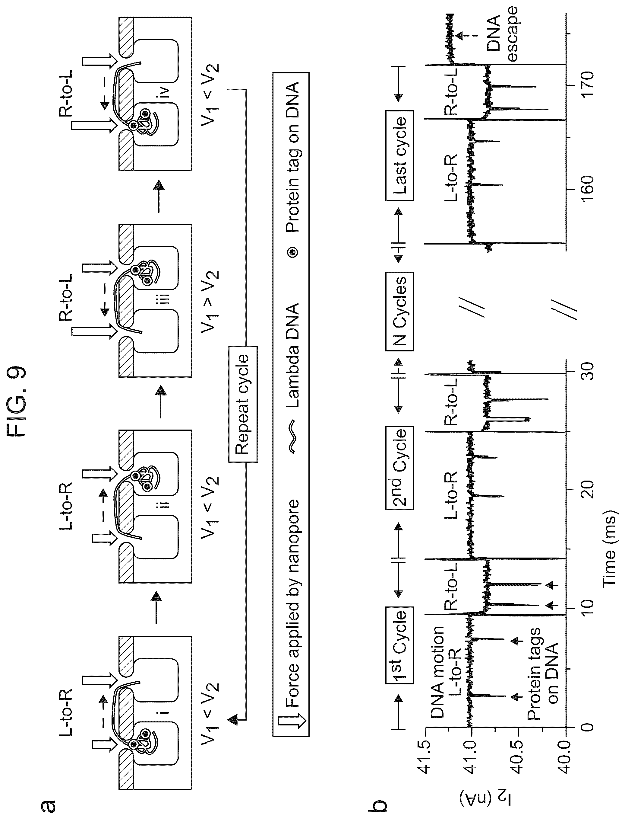 Patent US12338488 Figure 13 – Logic driven polynucleotide scanning for mapping features in a nanopore device