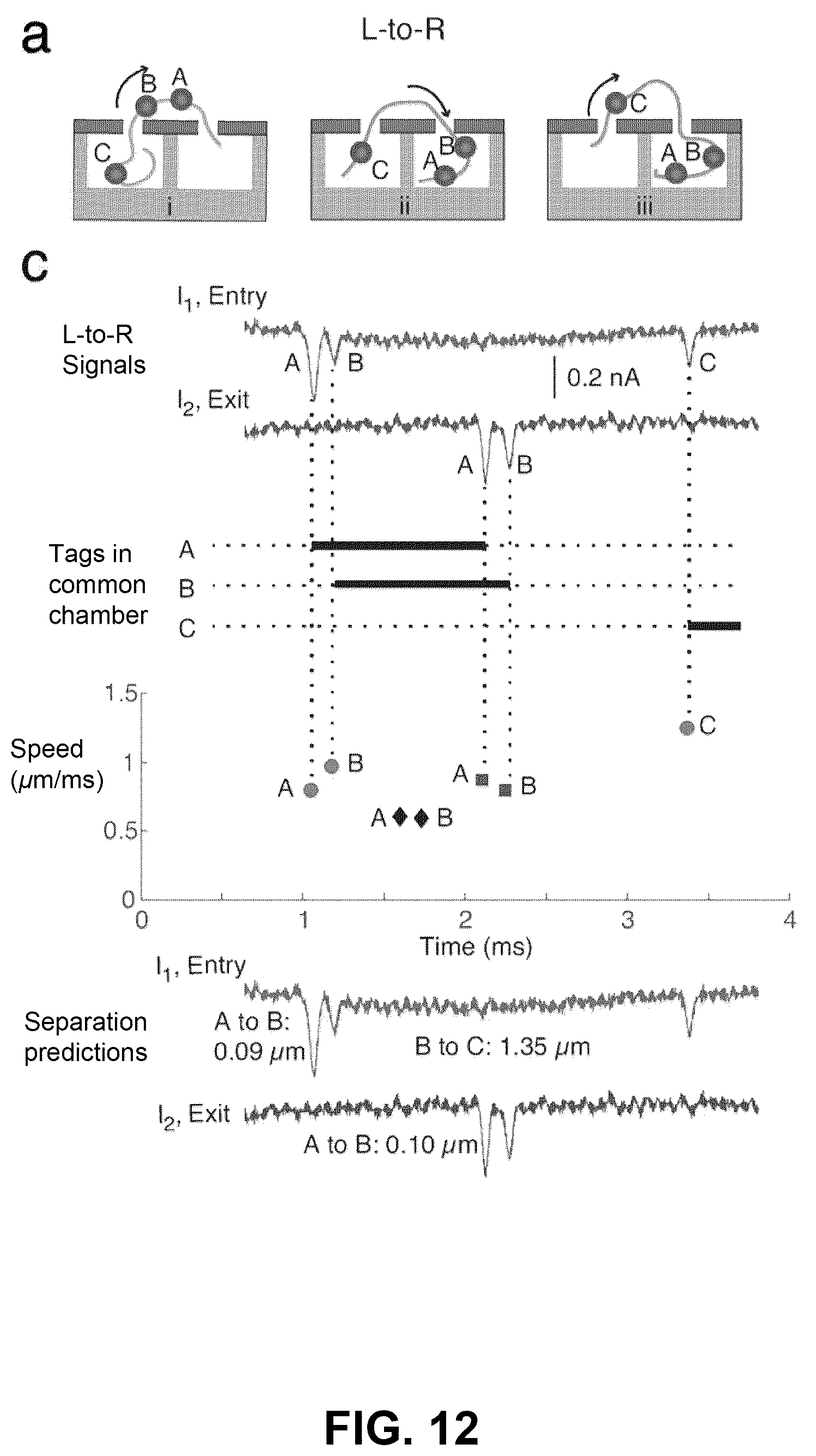 Patent US12338488 Figure 19 – Logic driven polynucleotide scanning for mapping features in a nanopore device
