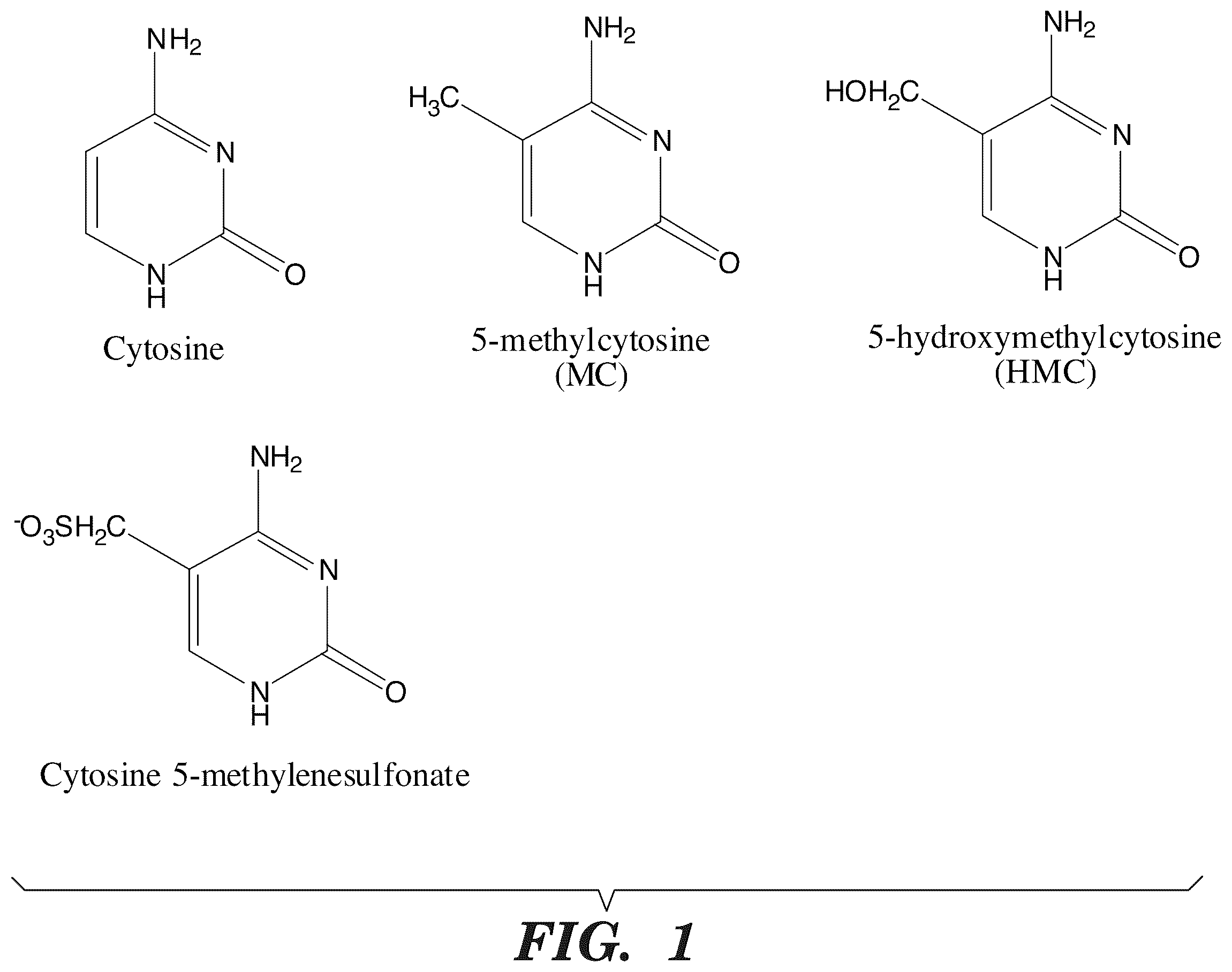 Patent US12338489 Figure 1 – Selective oxidation of 5-methylcytosine by TET-family proteins