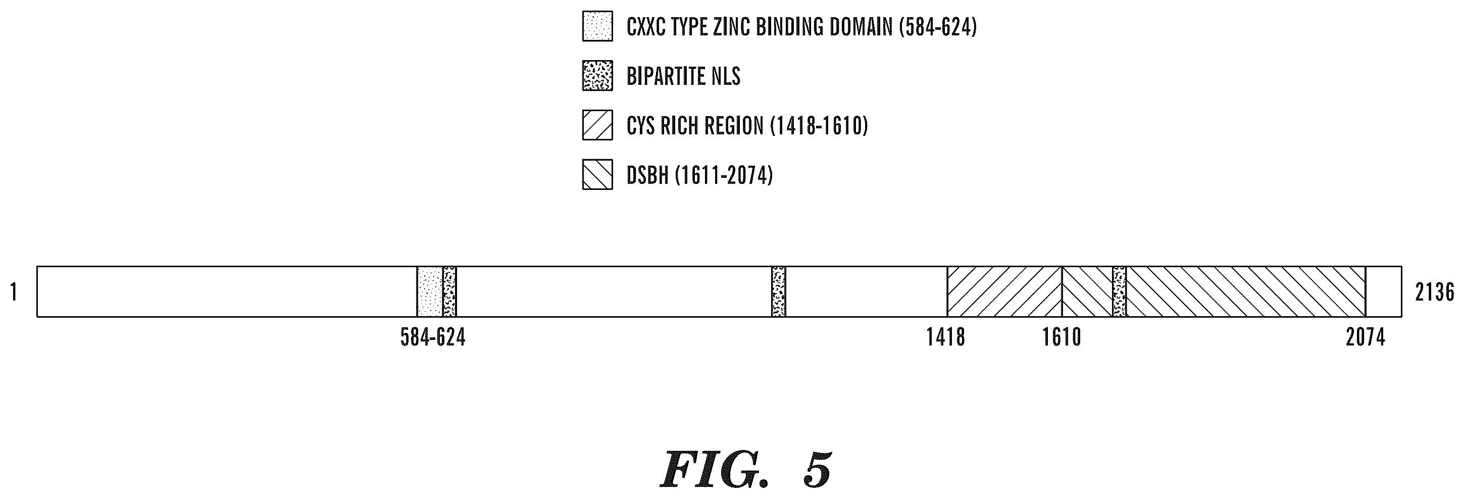Patent US12338489 Figure 7 – Selective oxidation of 5-methylcytosine by TET-family proteins