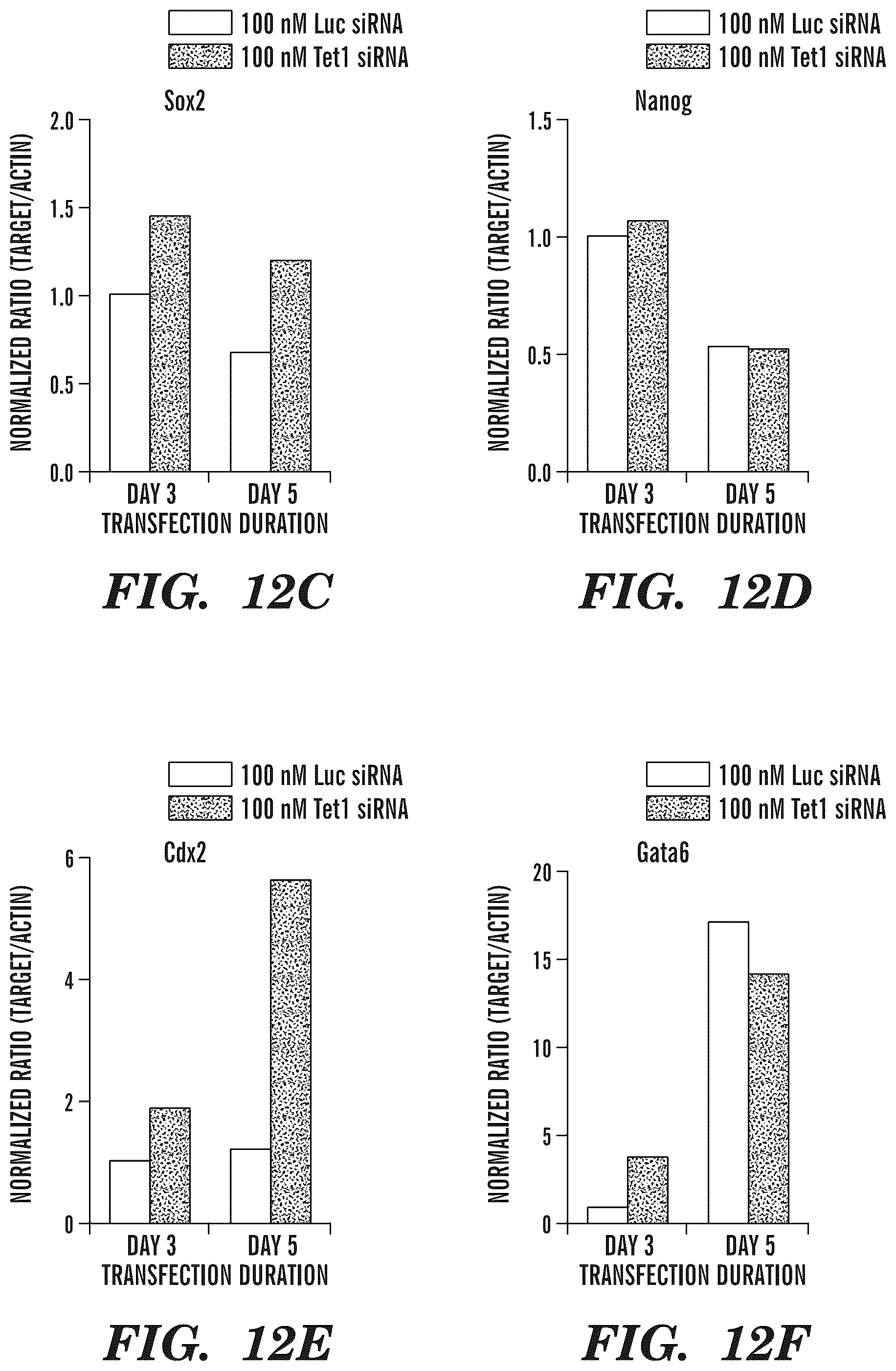 Patent US12338489 Figure 19 – Selective oxidation of 5-methylcytosine by TET-family proteins