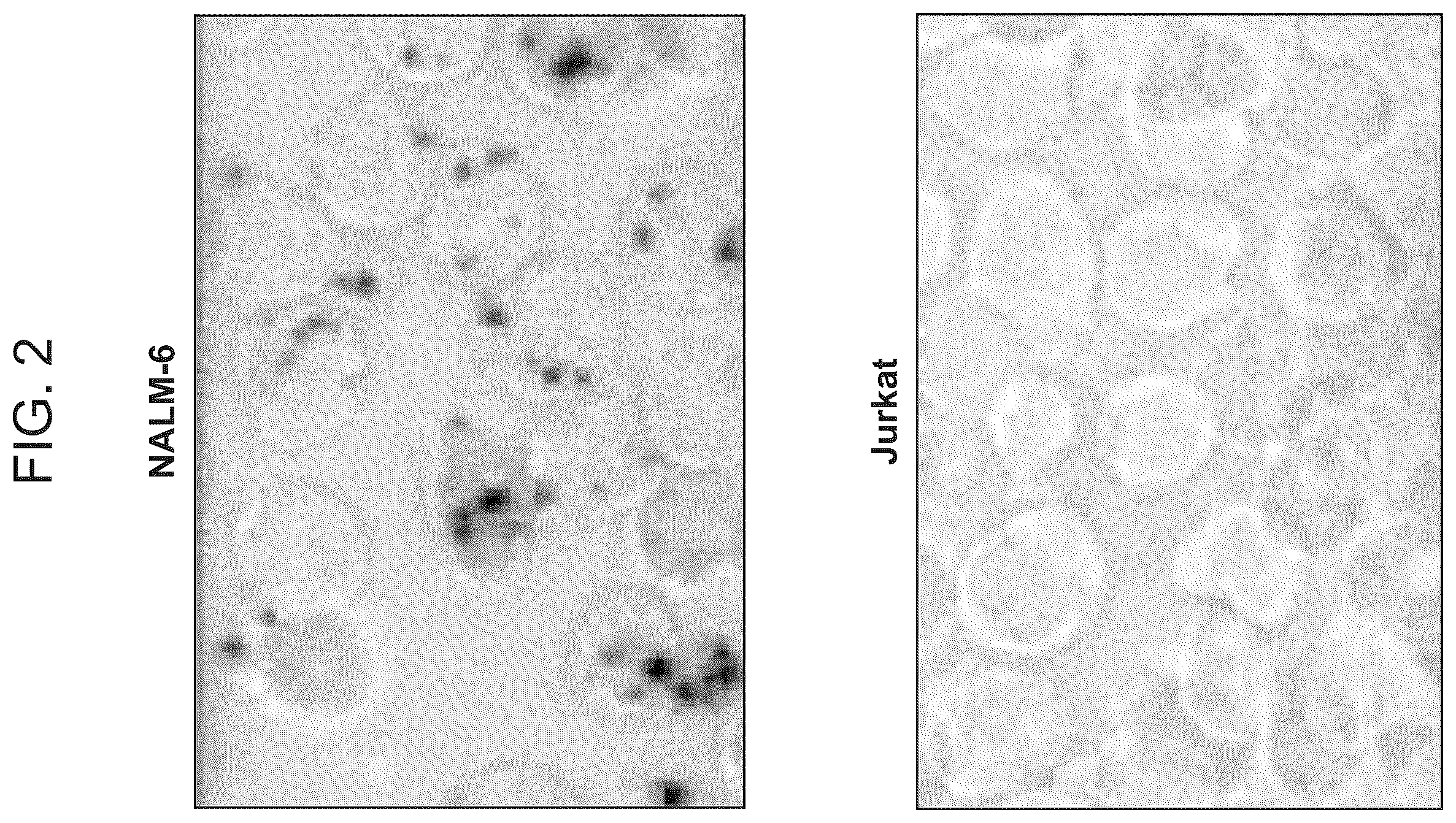 Patent US12338490 Figure 3 – Multiplexed single molecule RNA visualization with a two-probe proximity ligation system