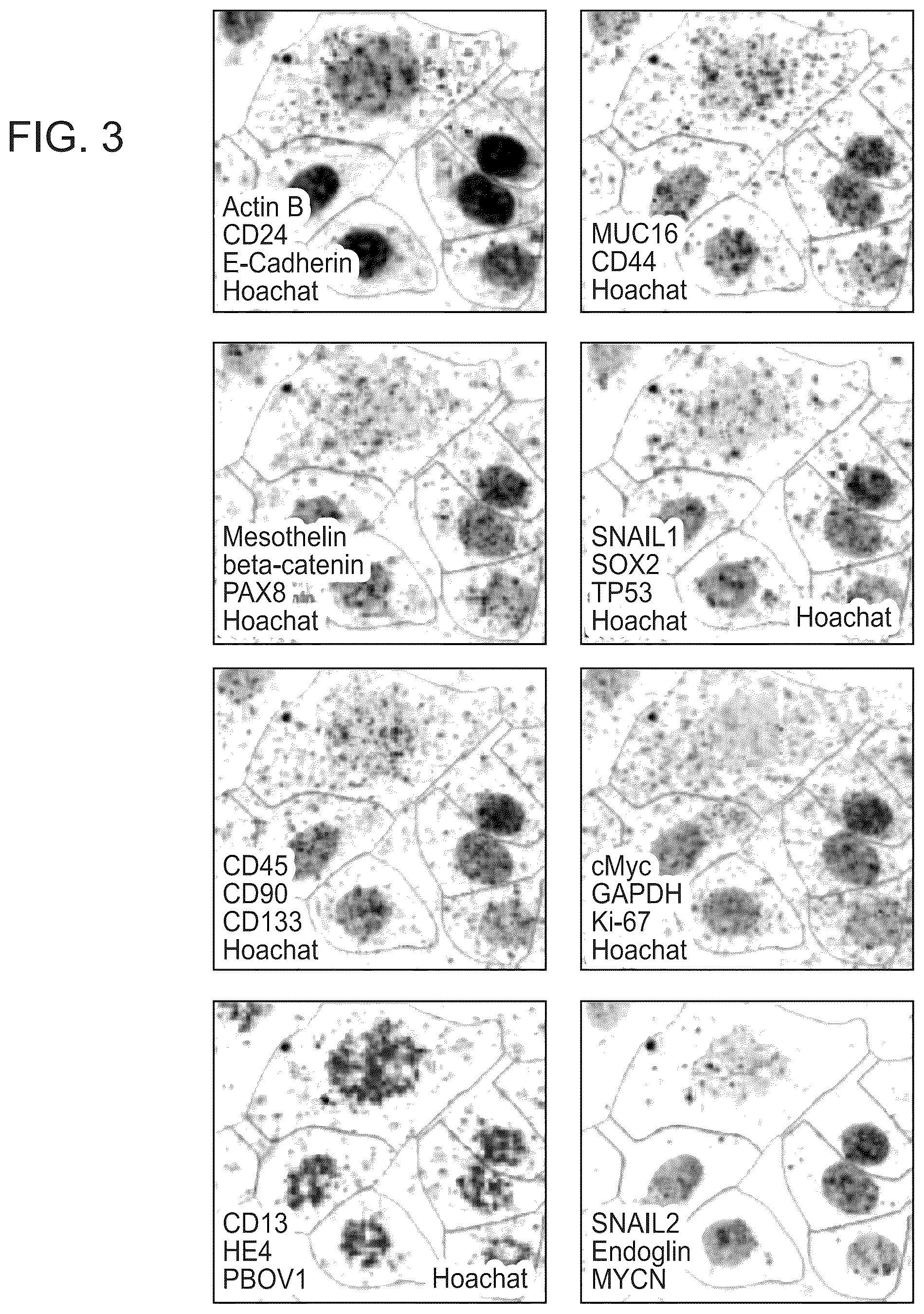 Patent US12338490 Figure 4 – Multiplexed single molecule RNA visualization with a two-probe proximity ligation system
