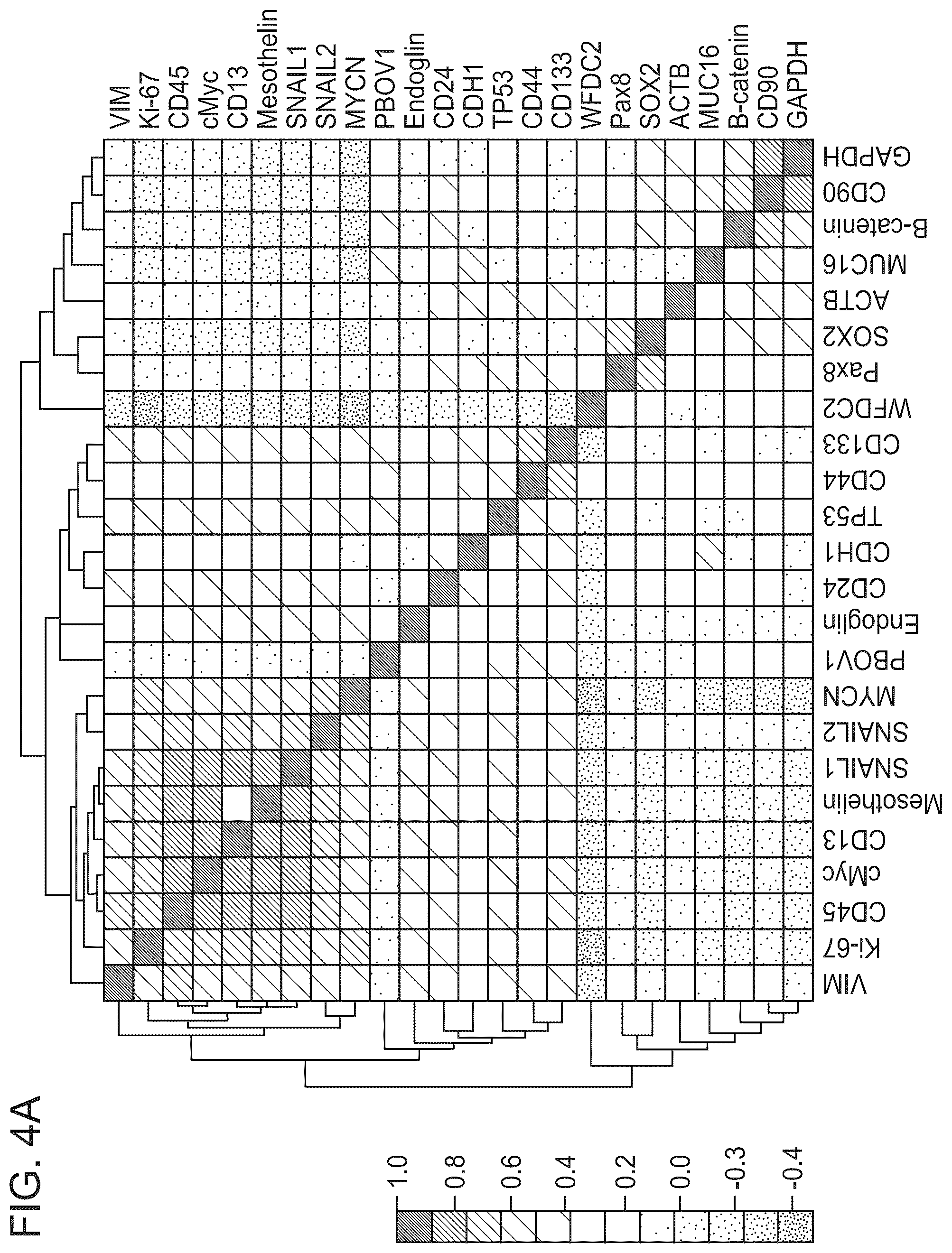 Patent US12338490 Figure 5 – Multiplexed single molecule RNA visualization with a two-probe proximity ligation system