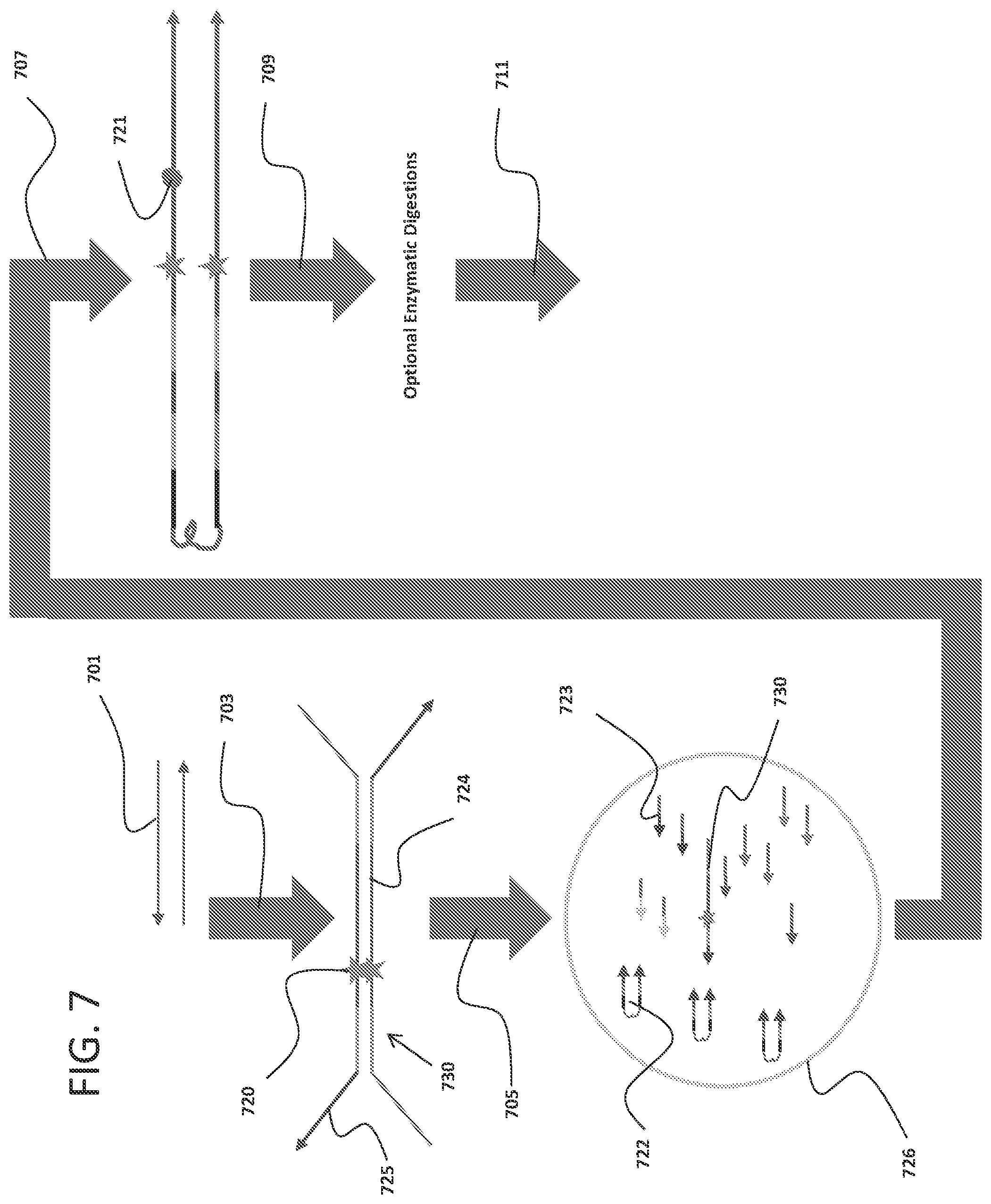 Patent US12338493 Figure 10 – Linked target capture