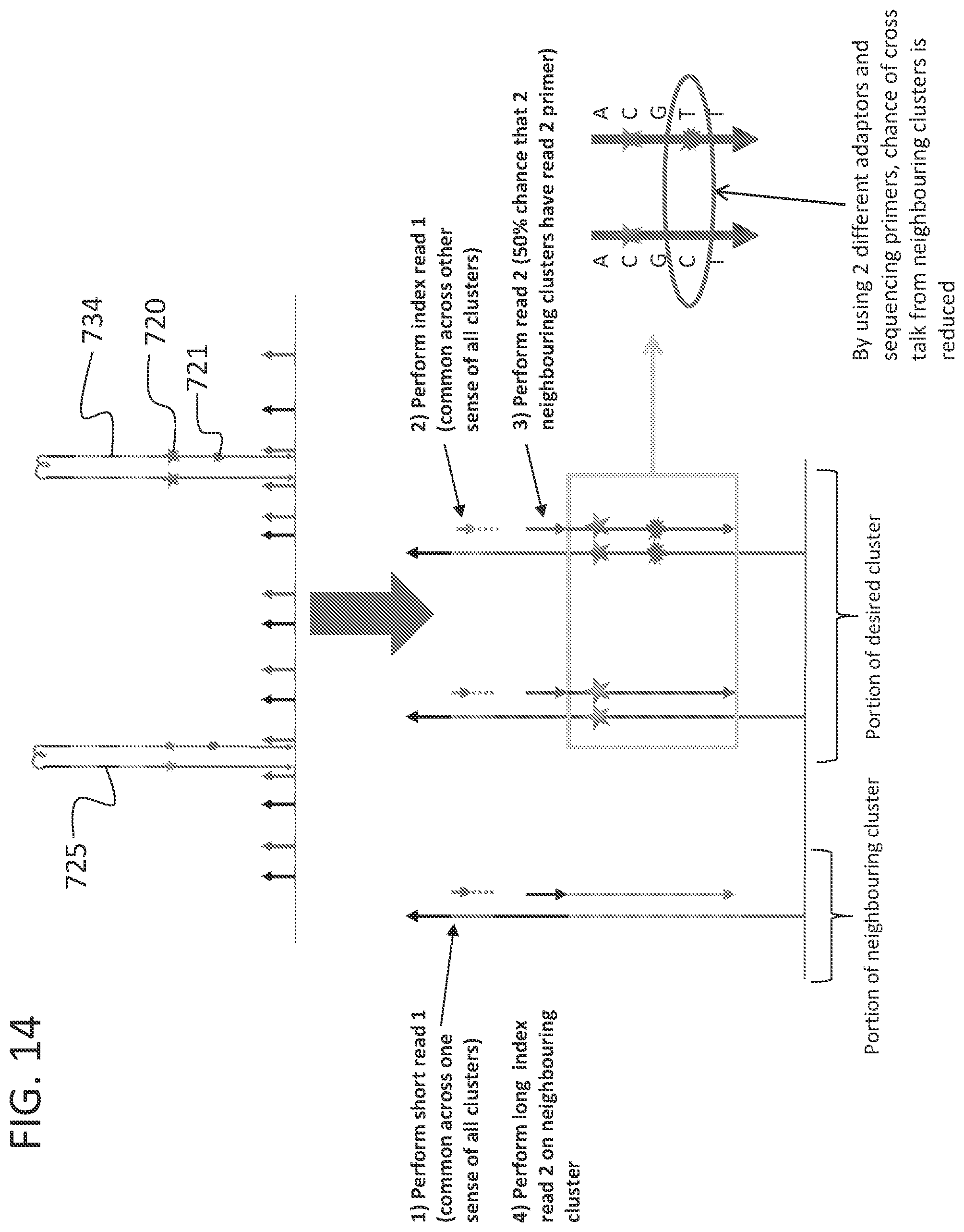 Patent US12338493 Figure 17 – Linked target capture