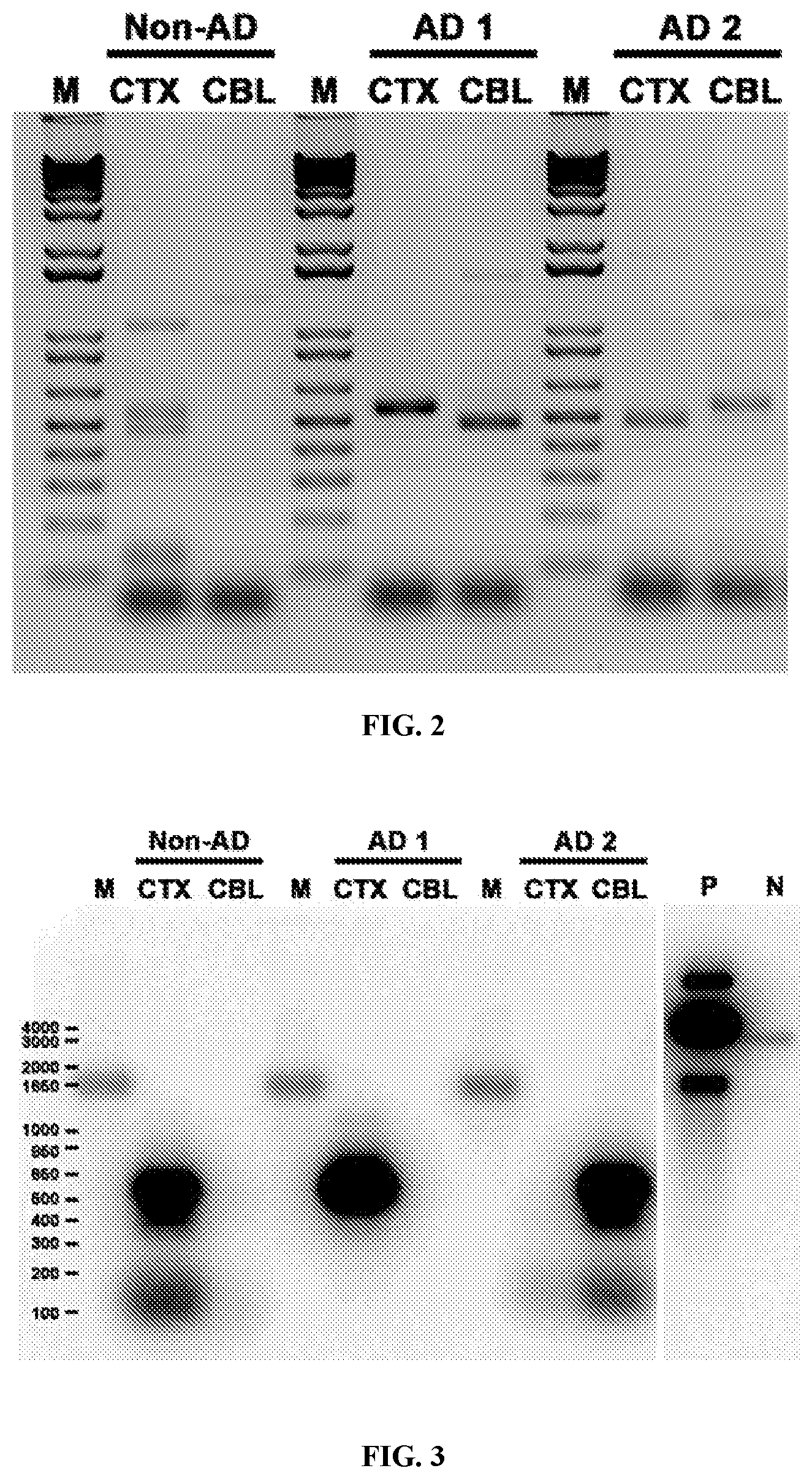 Patent US12338495 Figure 2 – Methods of diagnosing and treating Alzheimer's disease