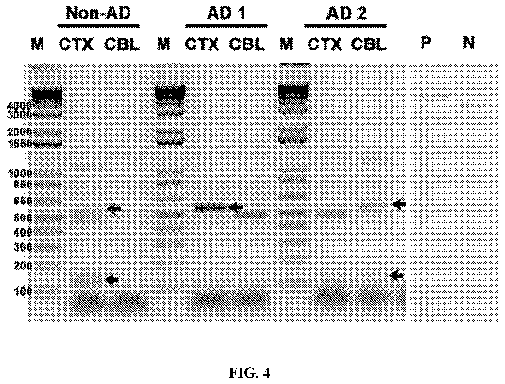 Patent US12338495 Figure 3 – Methods of diagnosing and treating Alzheimer's disease