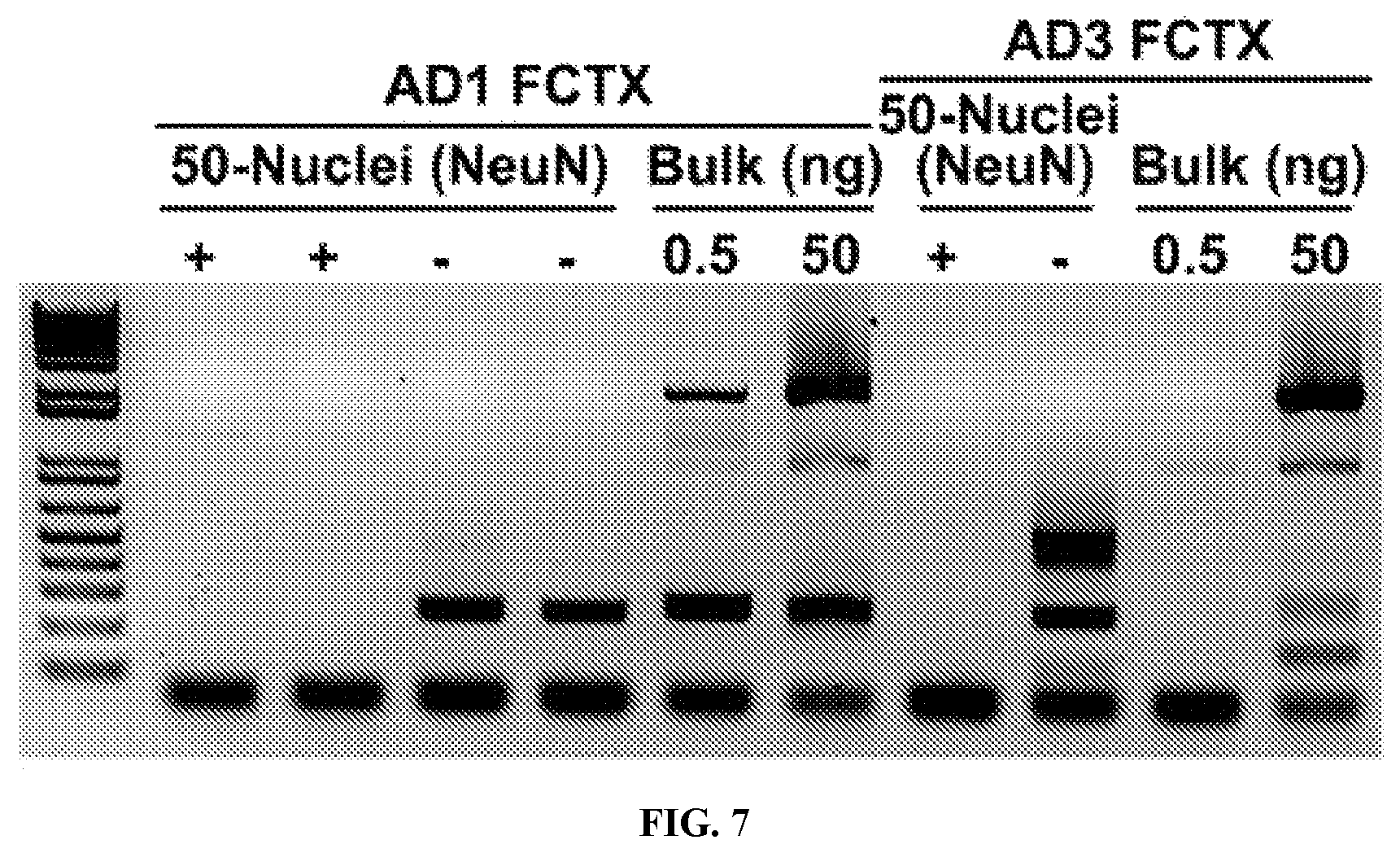 Patent US12338495 Figure 6 – Methods of diagnosing and treating Alzheimer's disease