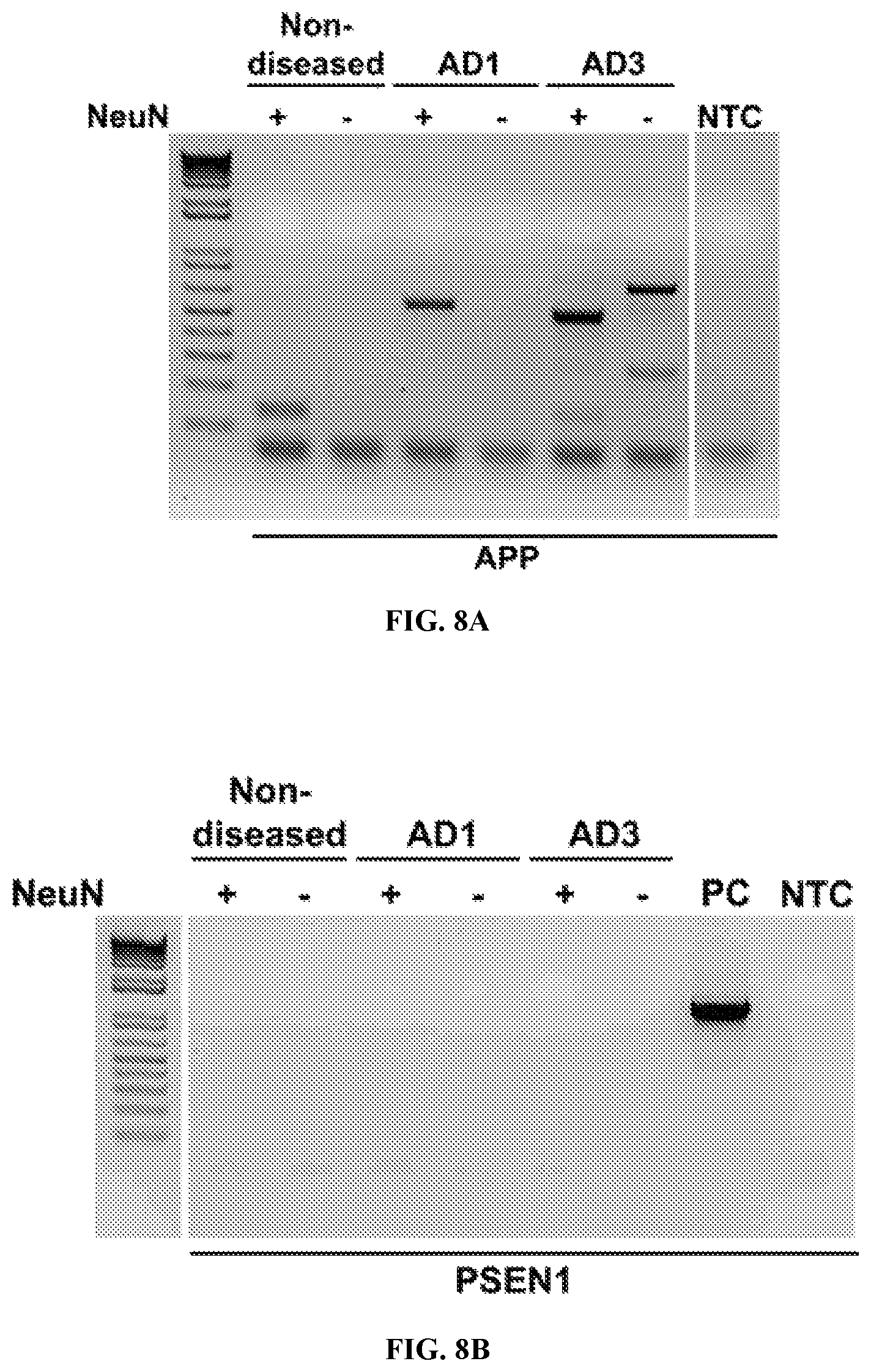 Patent US12338495 Figure 7 – Methods of diagnosing and treating Alzheimer's disease