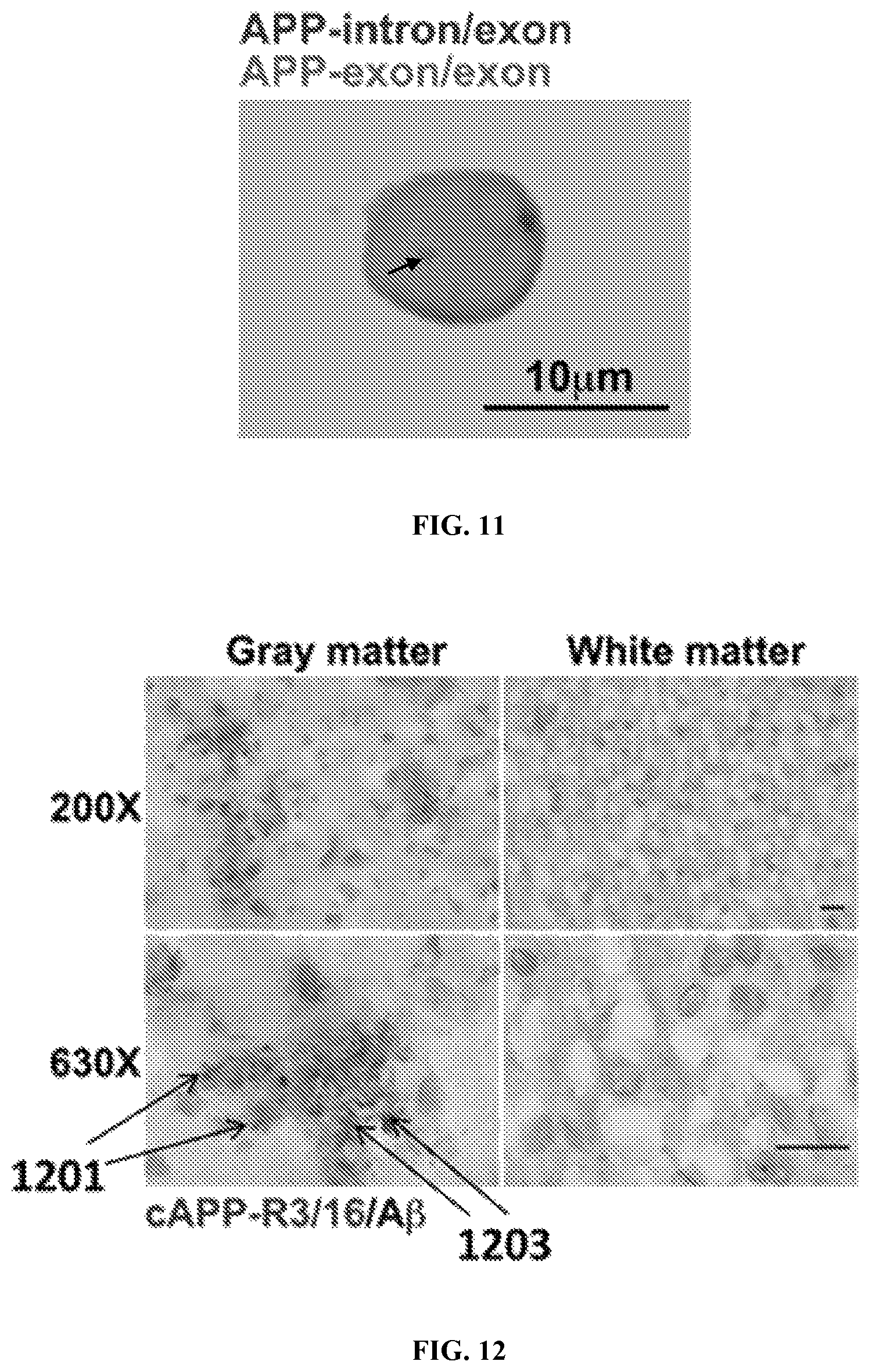 Patent US12338495 Figure 9 – Methods of diagnosing and treating Alzheimer's disease