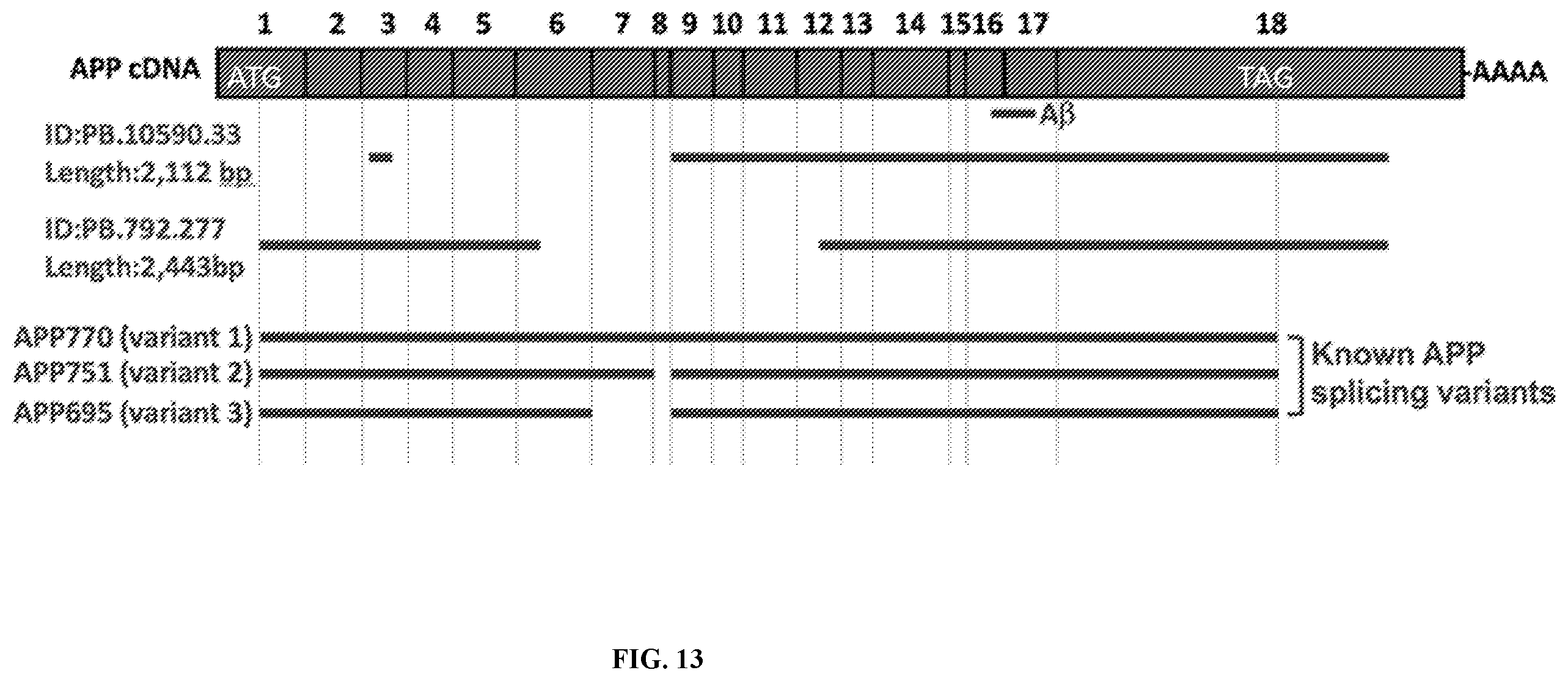 Patent US12338495 Figure 10 – Methods of diagnosing and treating Alzheimer's disease
