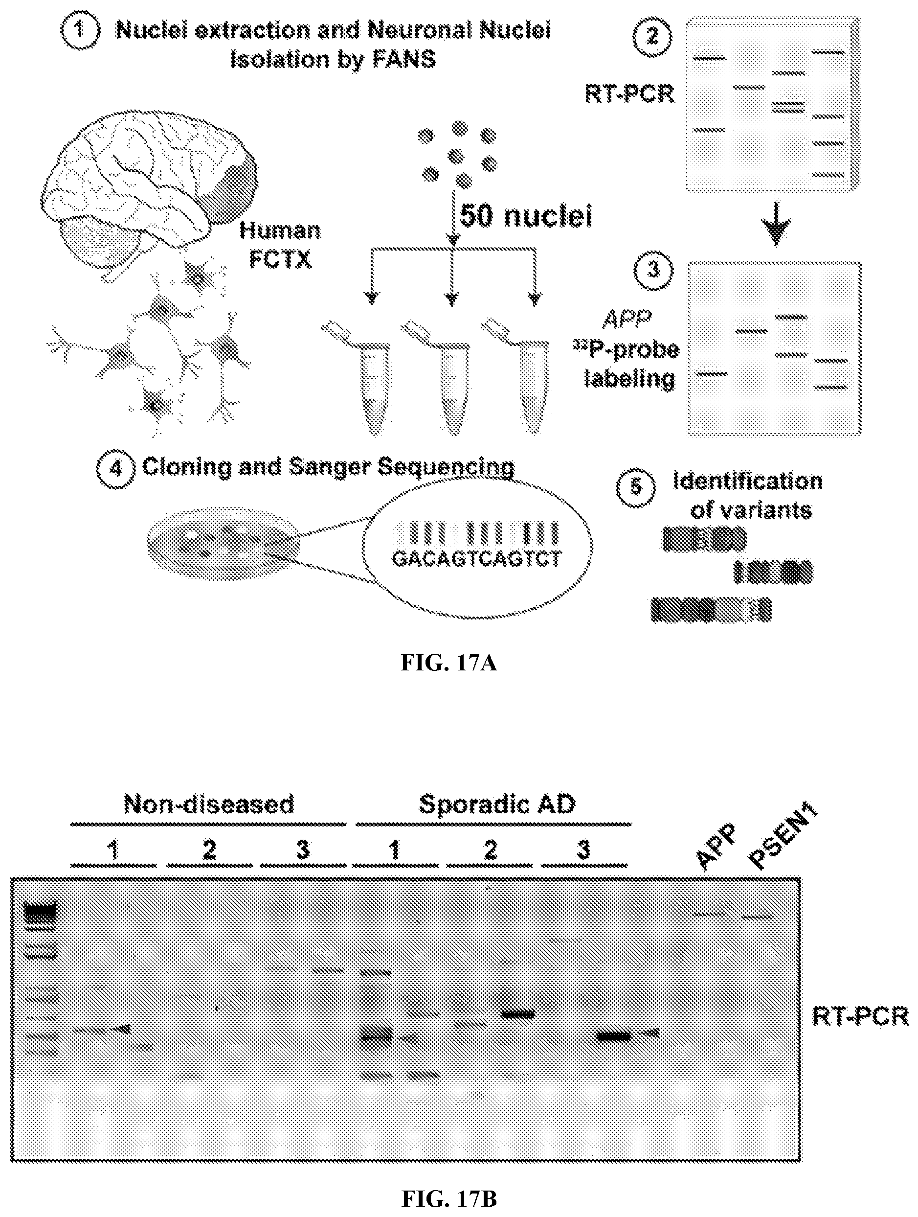Patent US12338495 Figure 14 – Methods of diagnosing and treating Alzheimer's disease