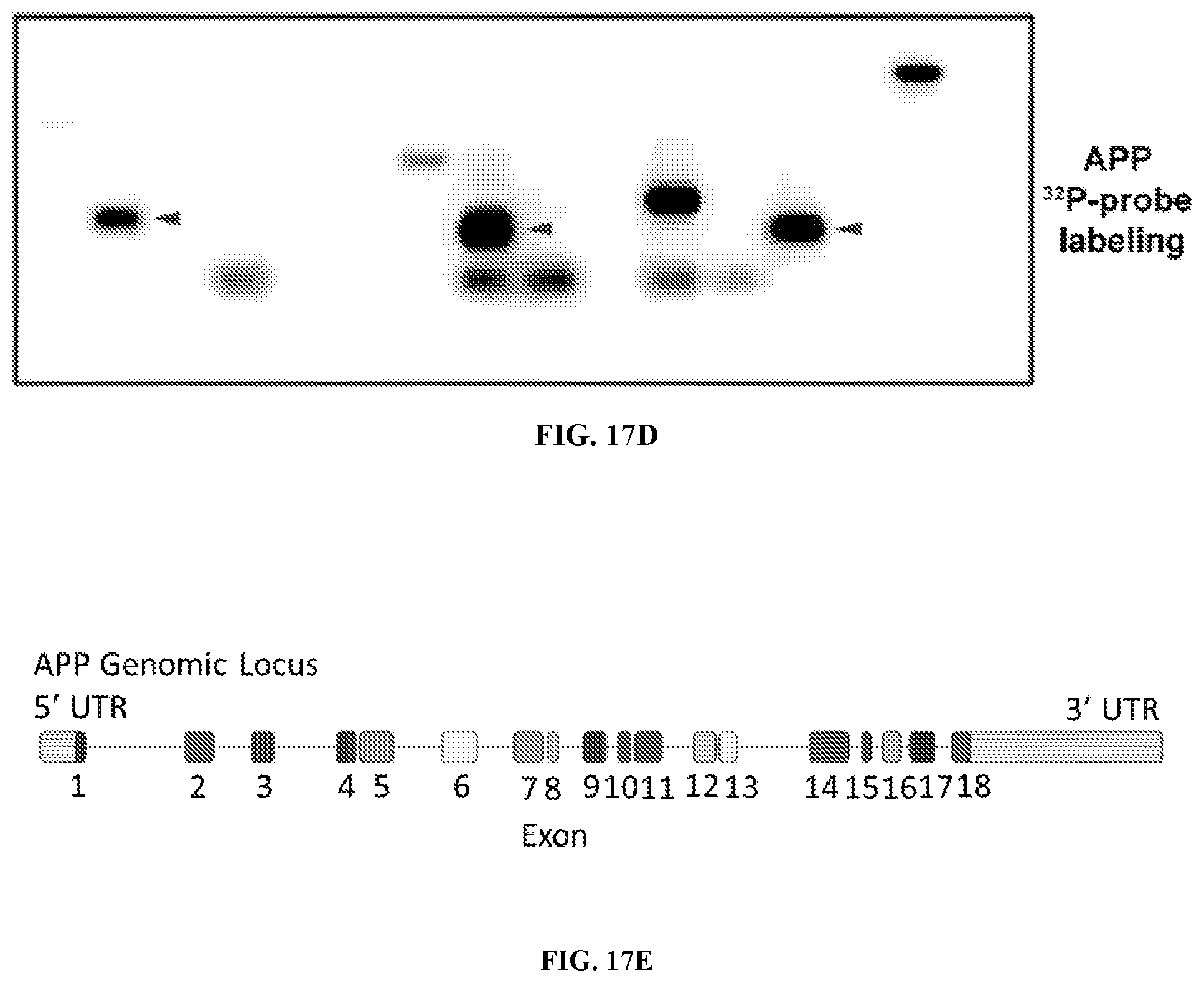 Patent US12338495 Figure 16 – Methods of diagnosing and treating Alzheimer's disease