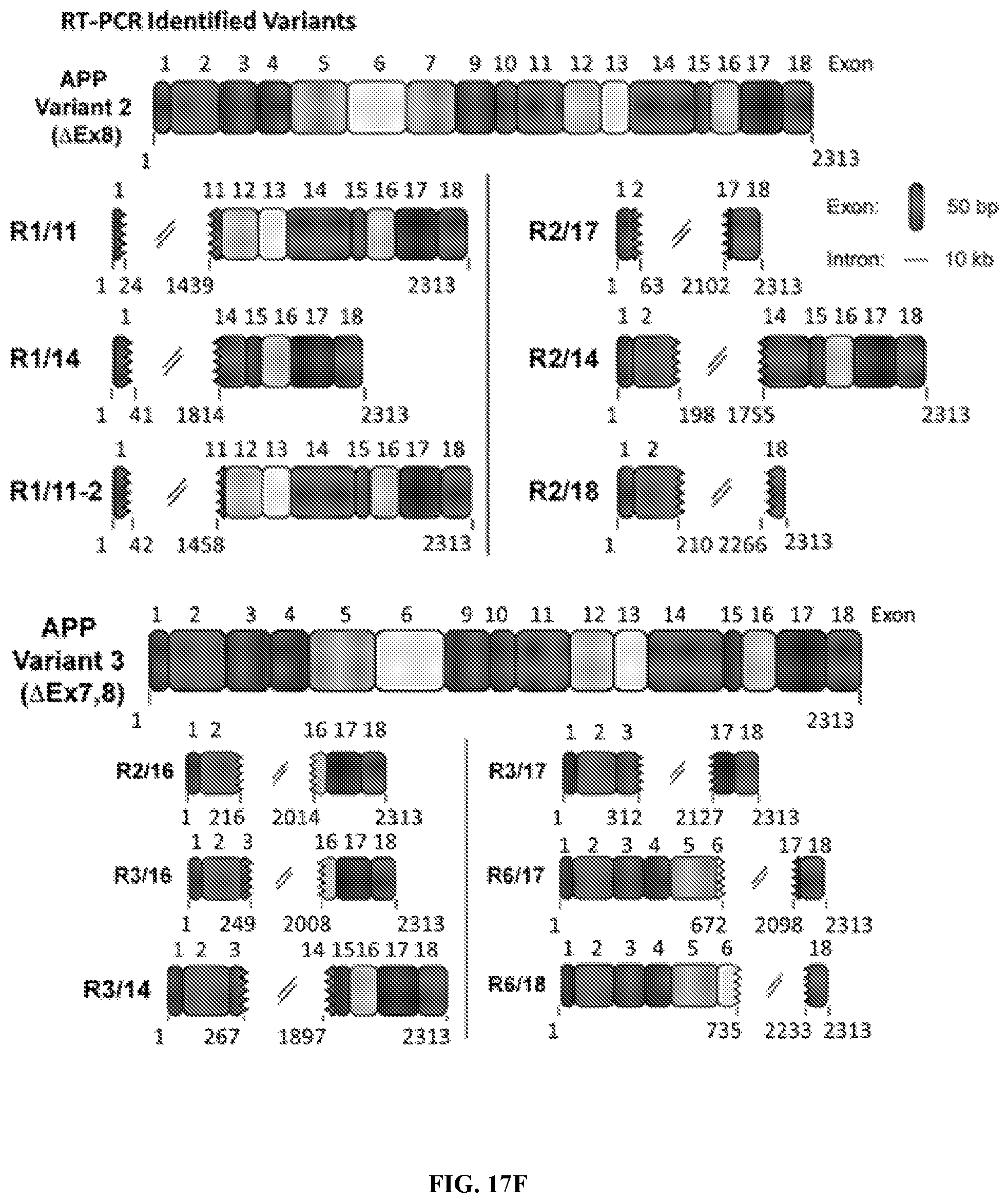 Patent US12338495 Figure 17 – Methods of diagnosing and treating Alzheimer's disease