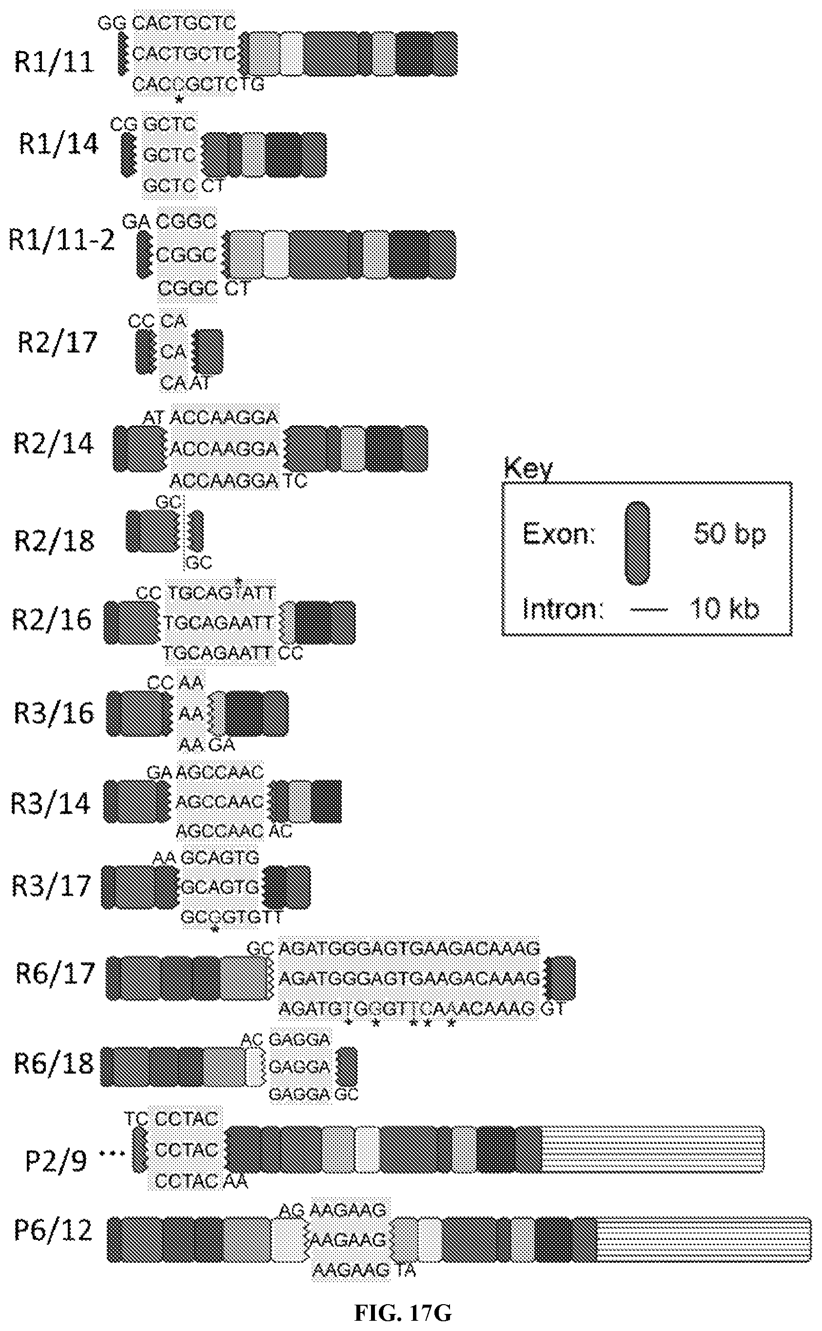 Patent US12338495 Figure 18 – Methods of diagnosing and treating Alzheimer's disease