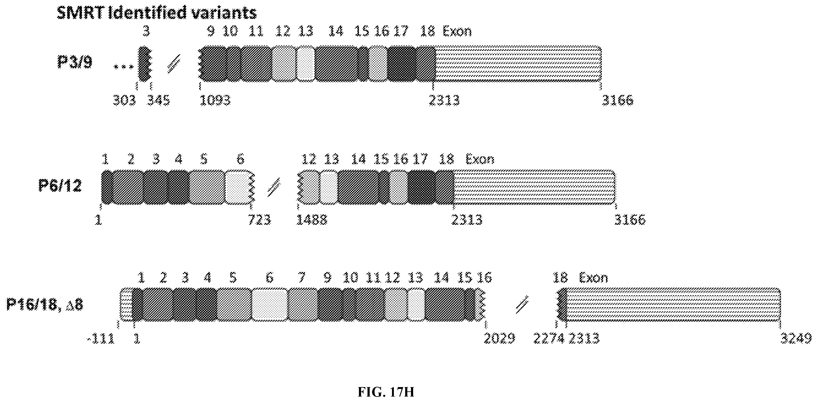 Patent US12338495 Figure 19 – Methods of diagnosing and treating Alzheimer's disease