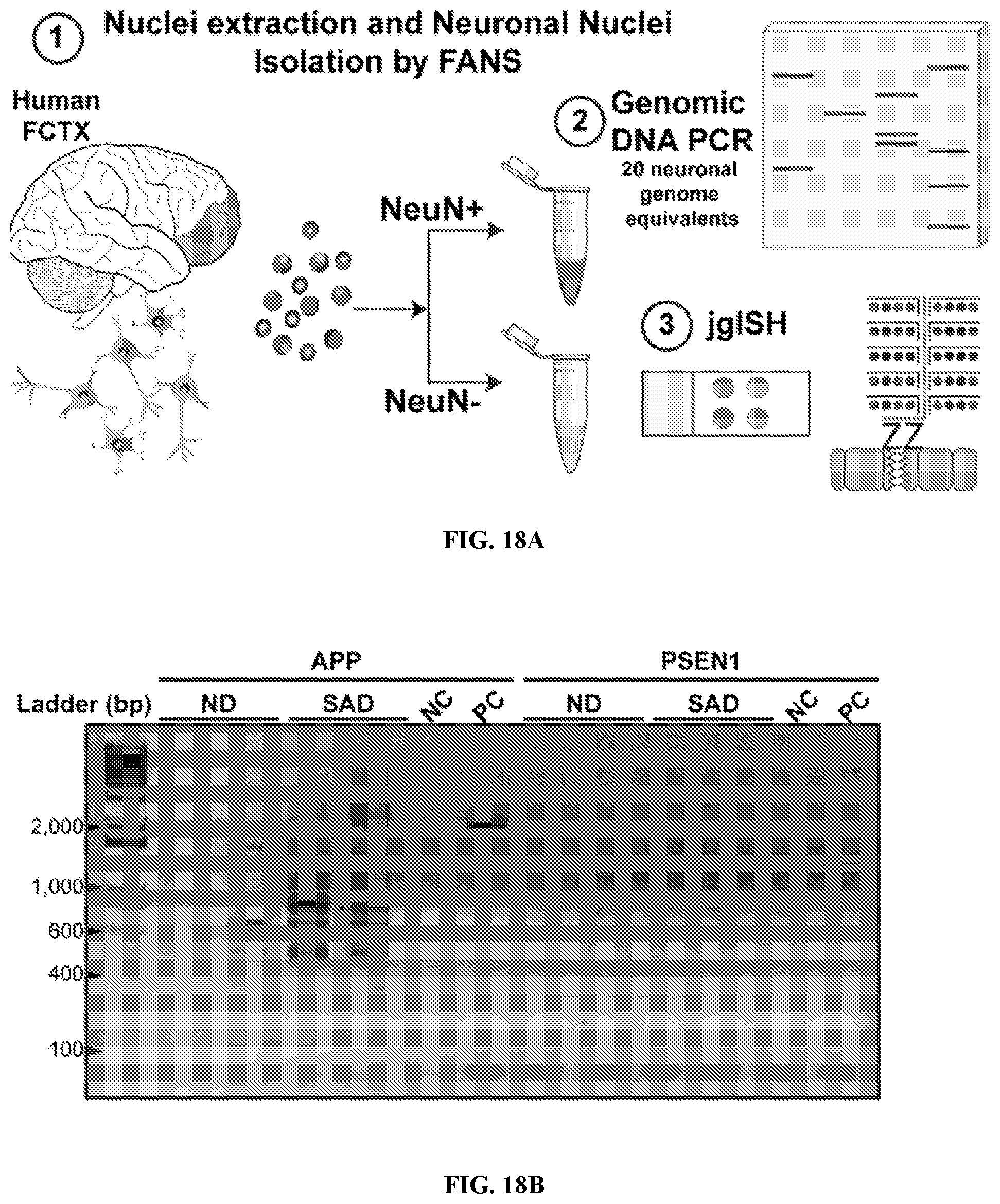 Patent US12338495 Figure 20 – Methods of diagnosing and treating Alzheimer's disease