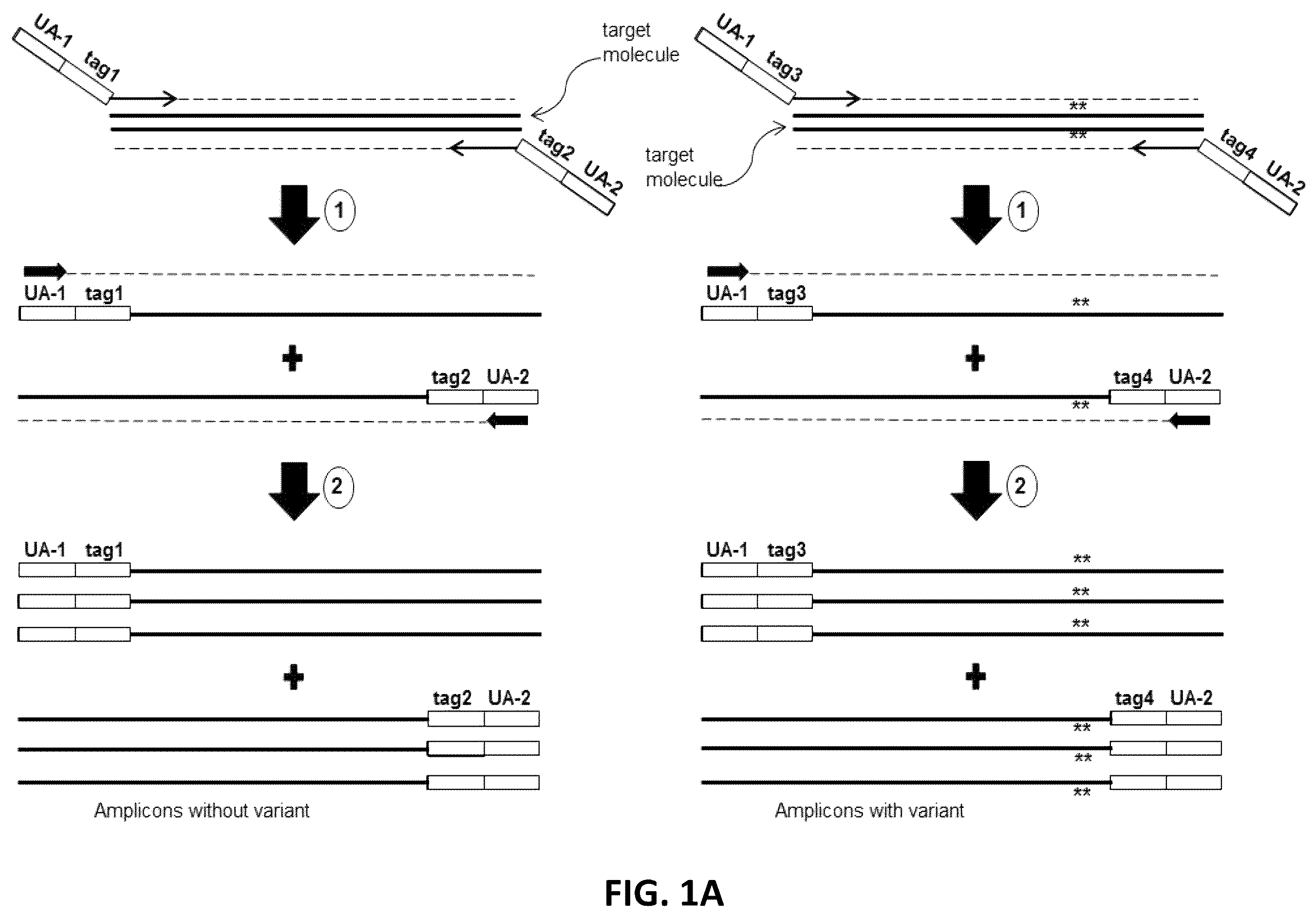 Patent US12338496 Figure 1 – Methods, systems, compositions, kits, apparatus and computer-readable media for molecular tagging
