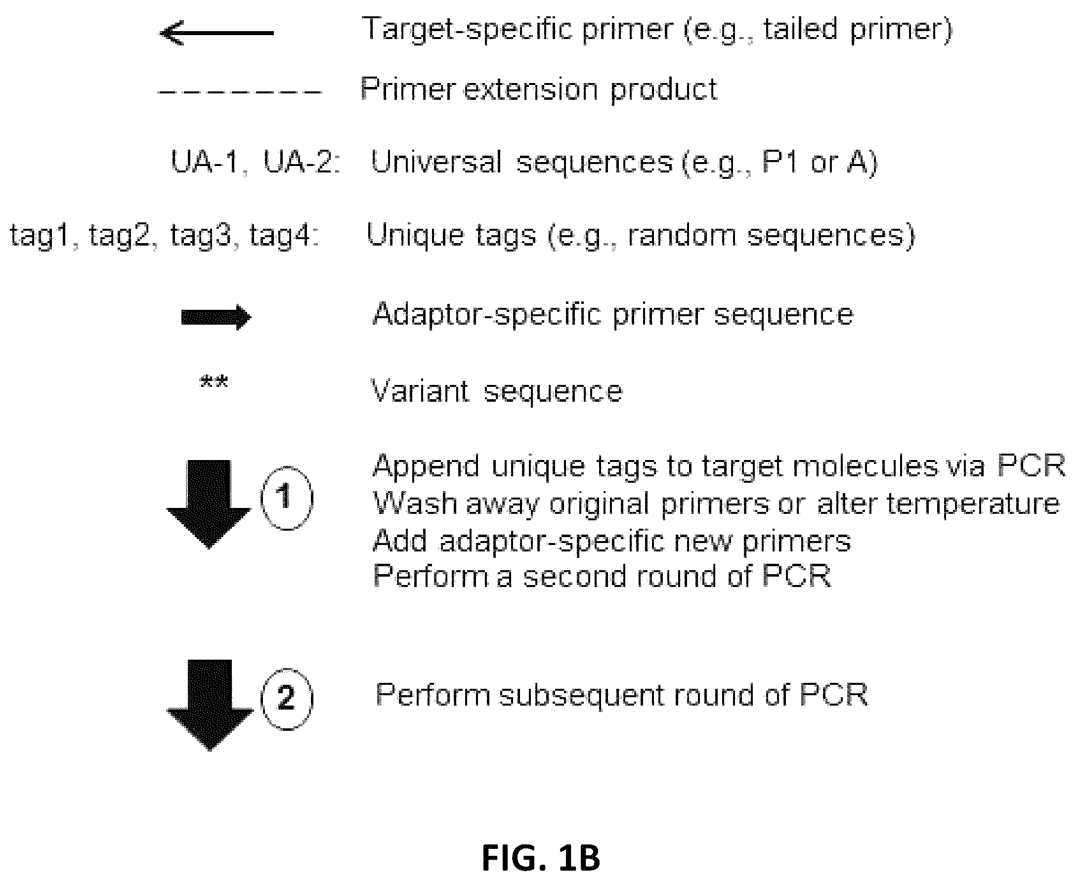 Patent US12338496 Figure 2 – Methods, systems, compositions, kits, apparatus and computer-readable media for molecular tagging