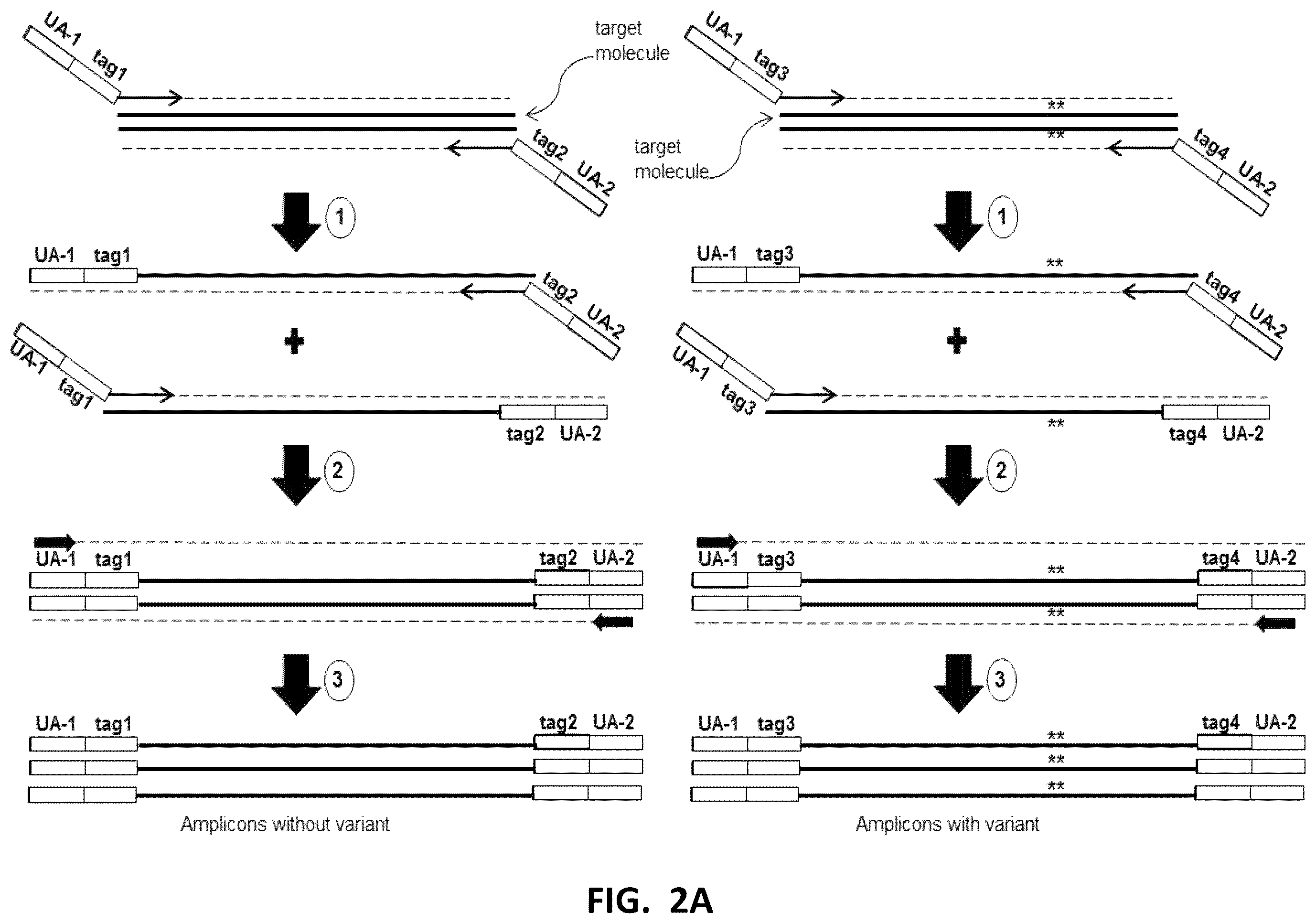 Patent US12338496 Figure 3 – Methods, systems, compositions, kits, apparatus and computer-readable media for molecular tagging