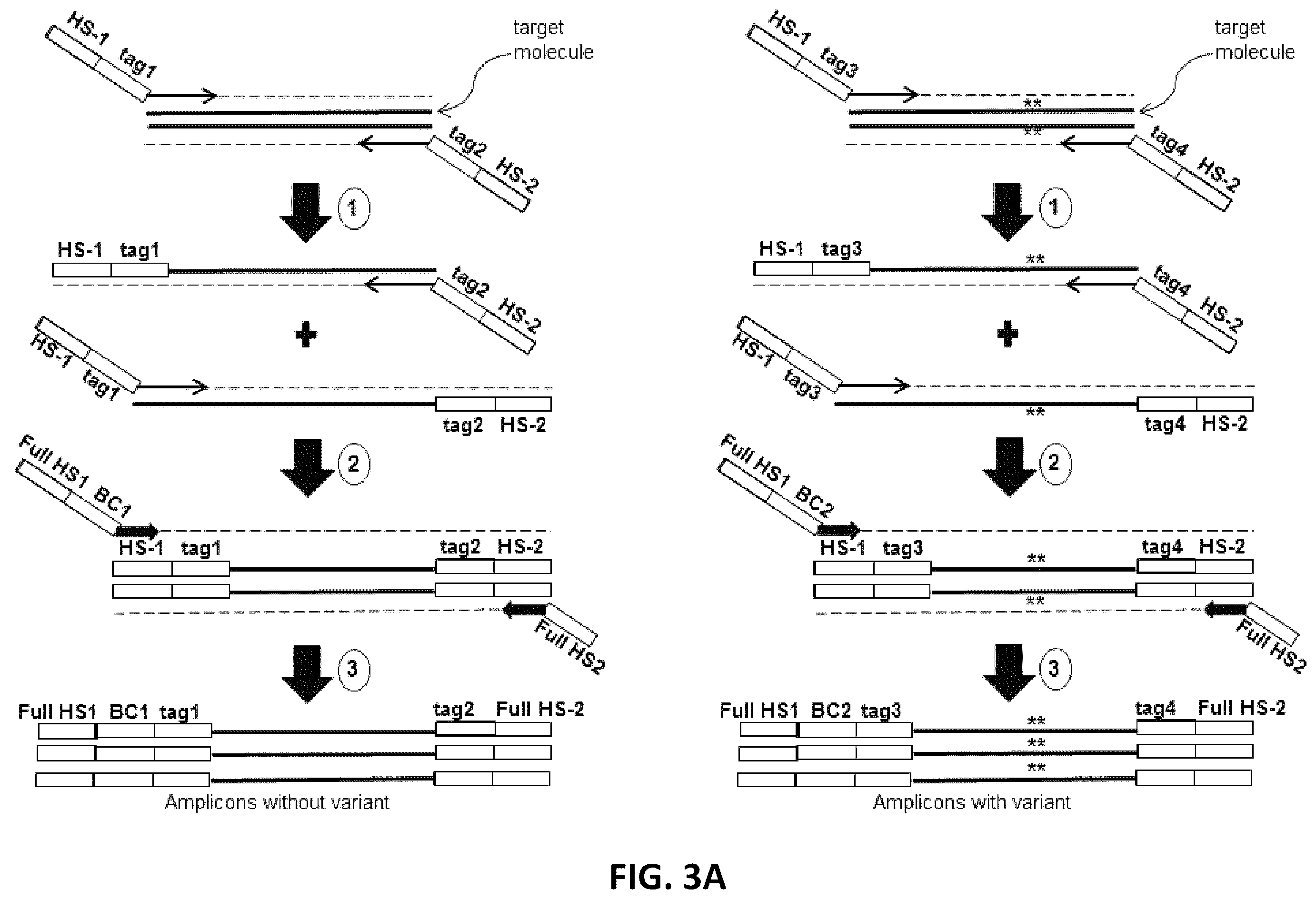 Patent US12338496 Figure 5 – Methods, systems, compositions, kits, apparatus and computer-readable media for molecular tagging