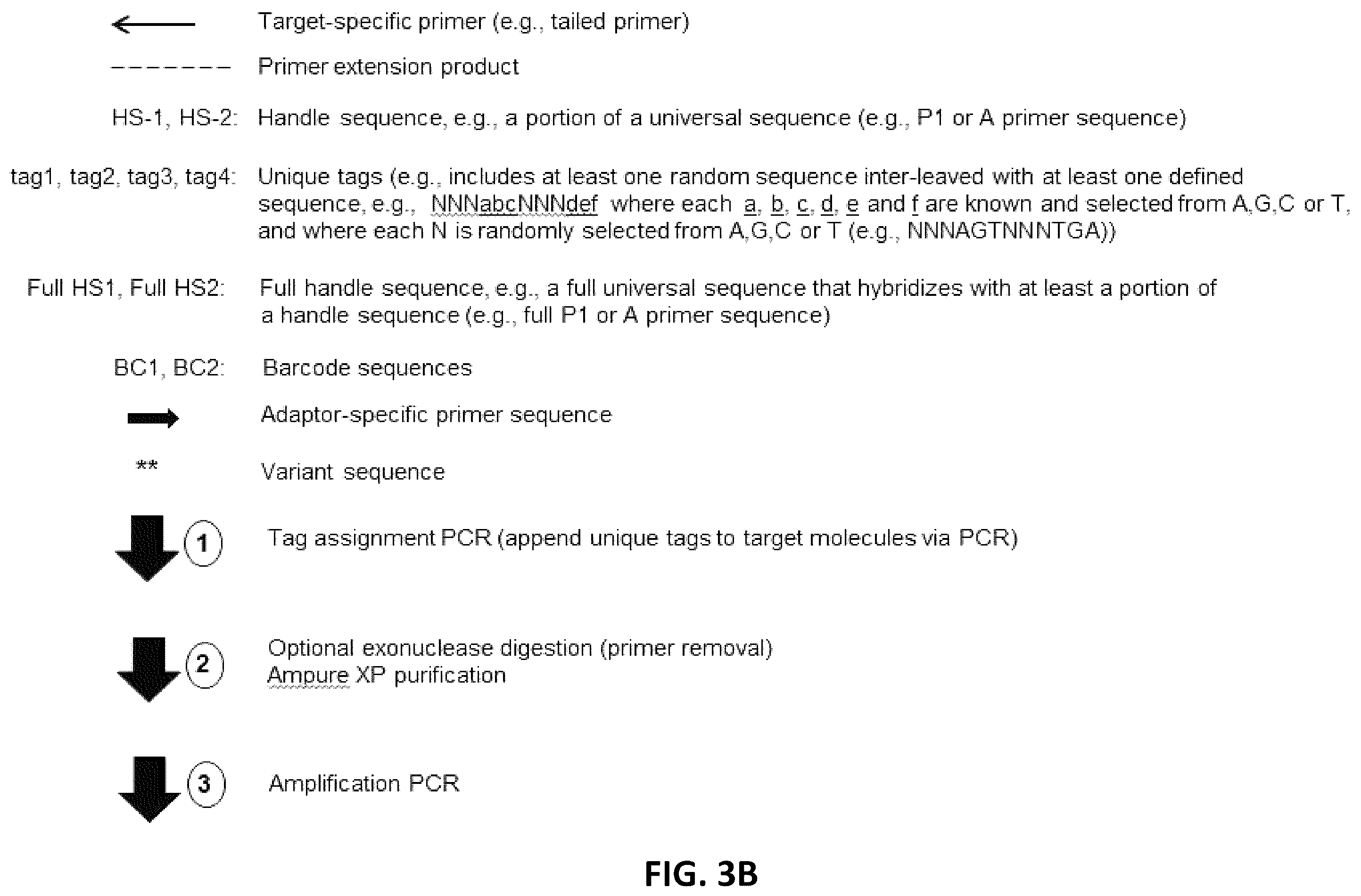Patent US12338496 Figure 6 – Methods, systems, compositions, kits, apparatus and computer-readable media for molecular tagging
