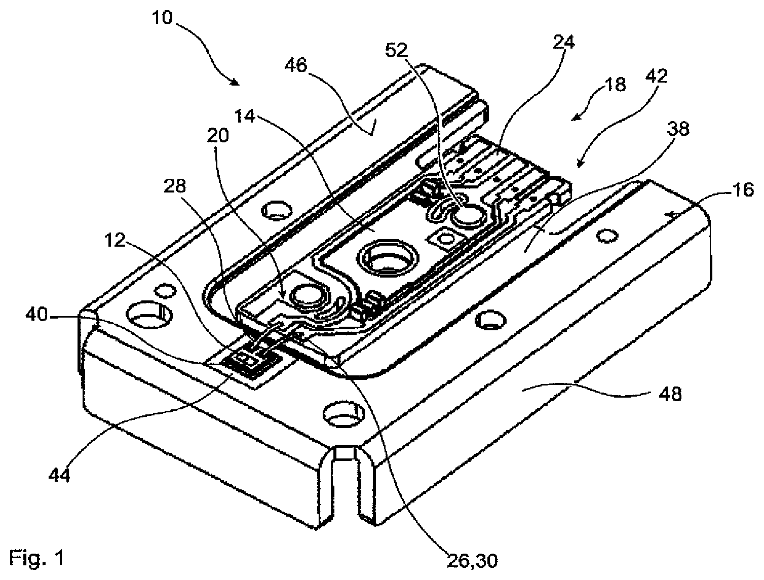 Patent US12338963 Figure 1 – Light module and vehicle light