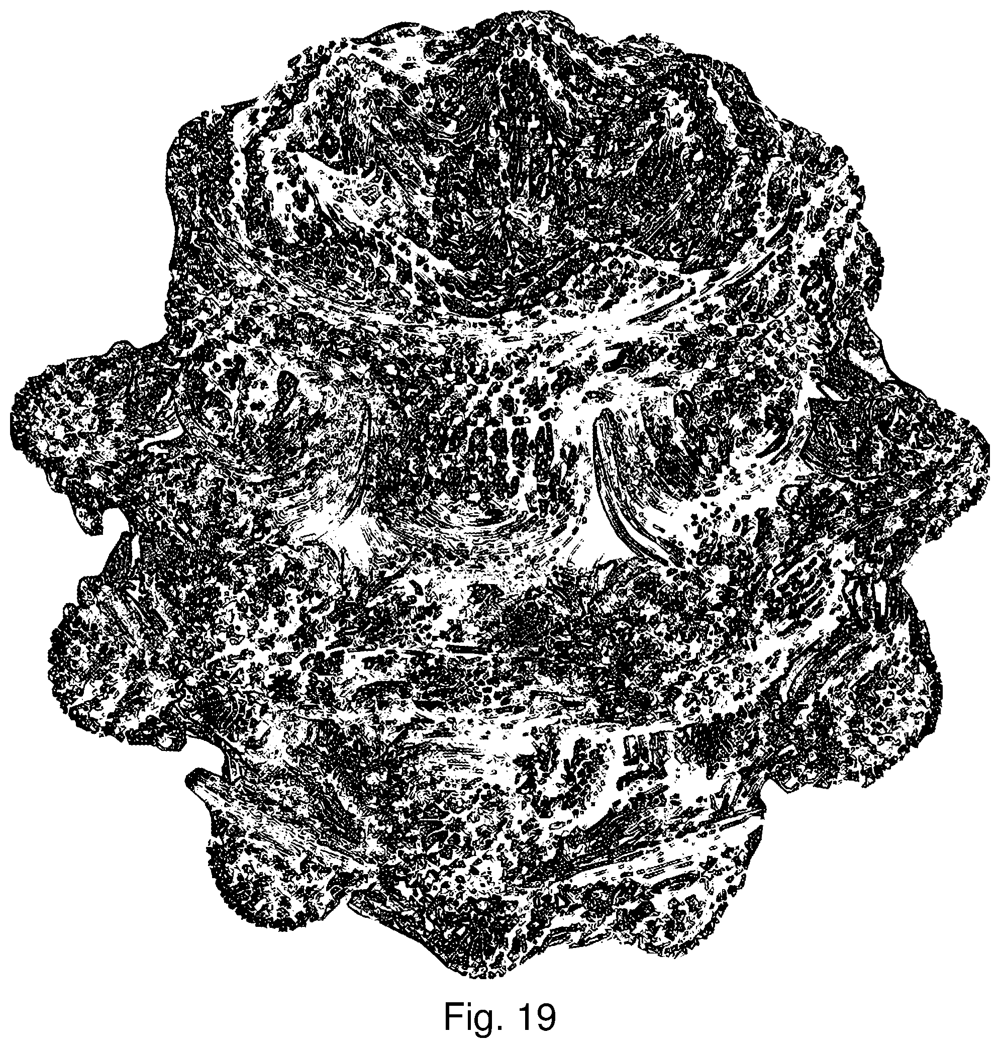 Patent US12339078 Figure 14 – System and method for maintaining efficiency of a heat sink