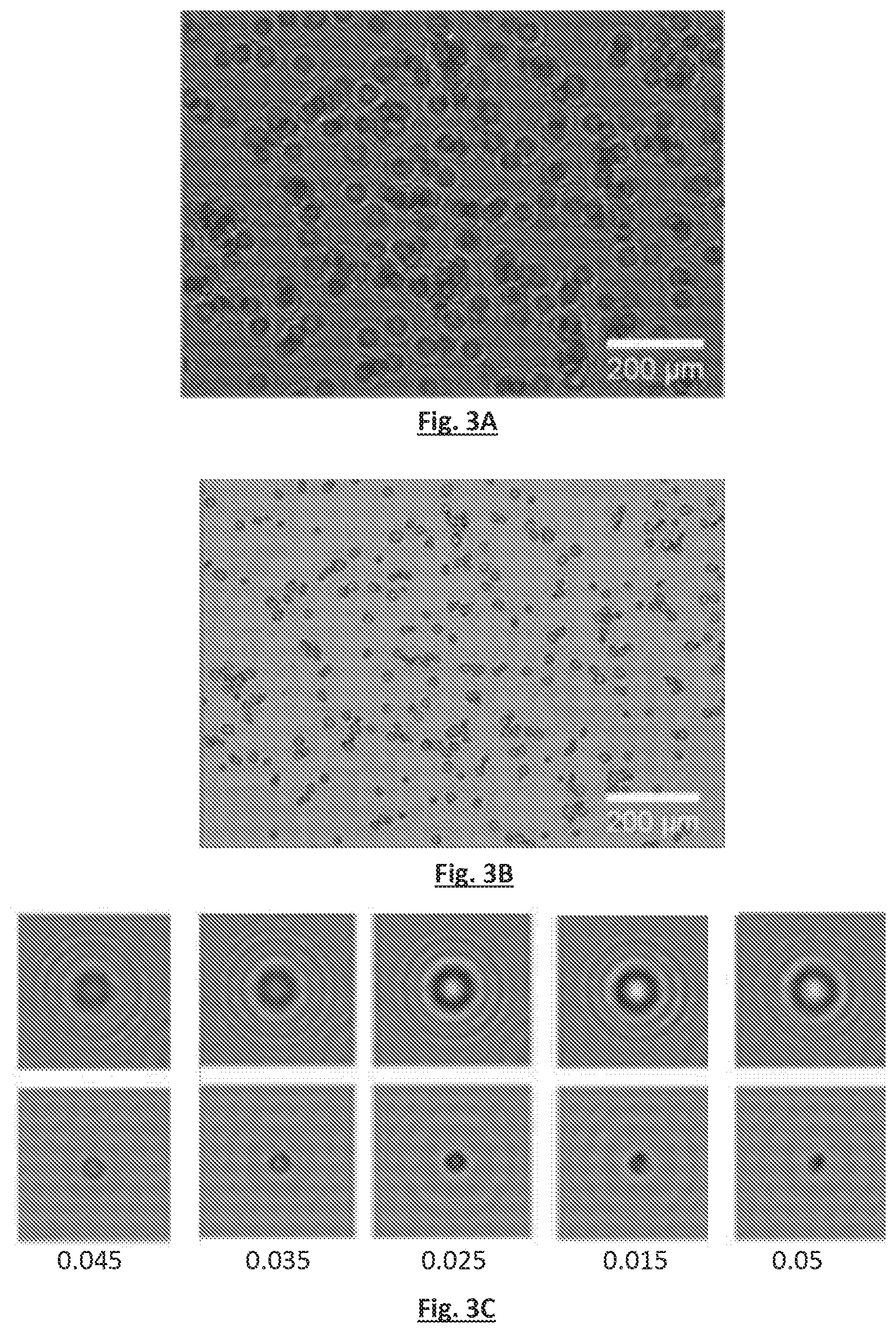 Patent US12339215 Figure 3 – Method for determining the viability of cells