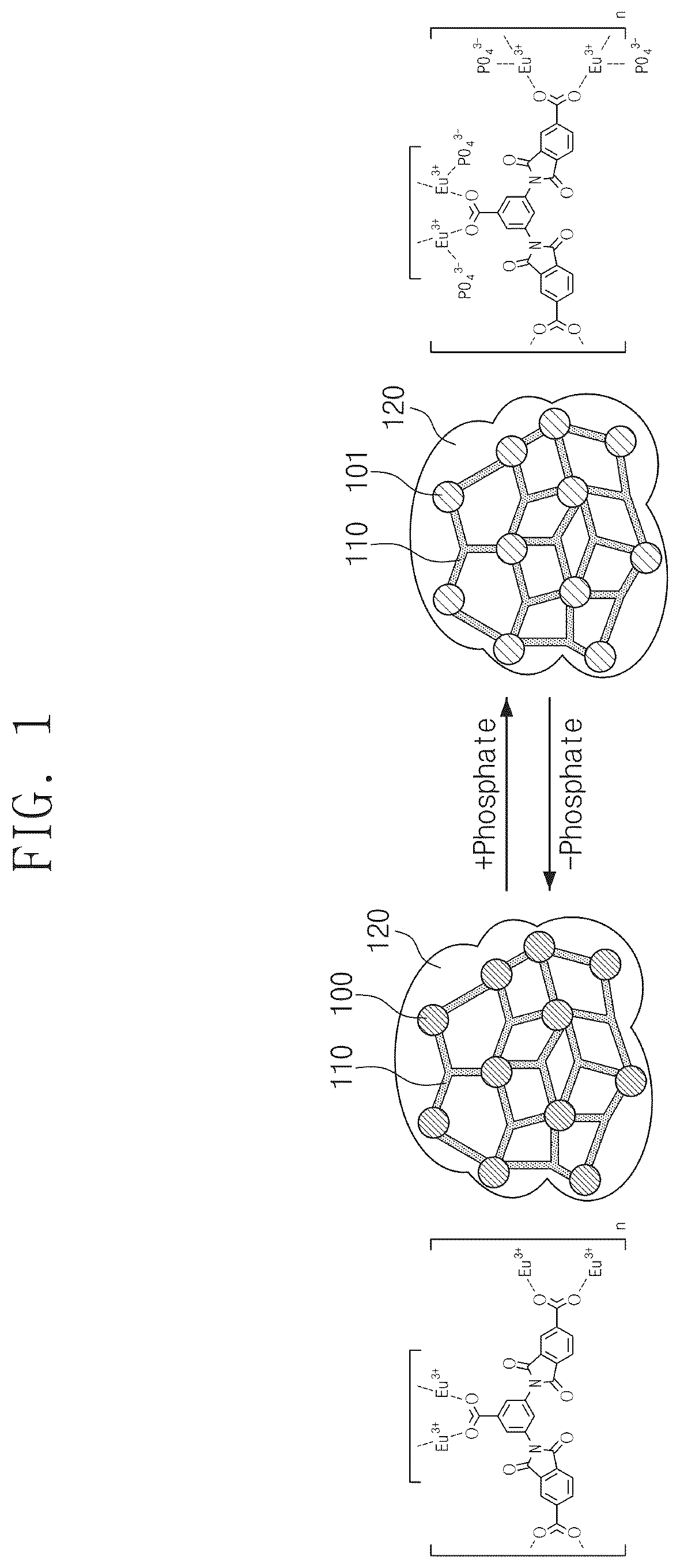 Patent US12339228 — Nanoparticles for sensing phosphate, method for manufacturing the same, and membrane for sensing phosphate including the same — Figure 1