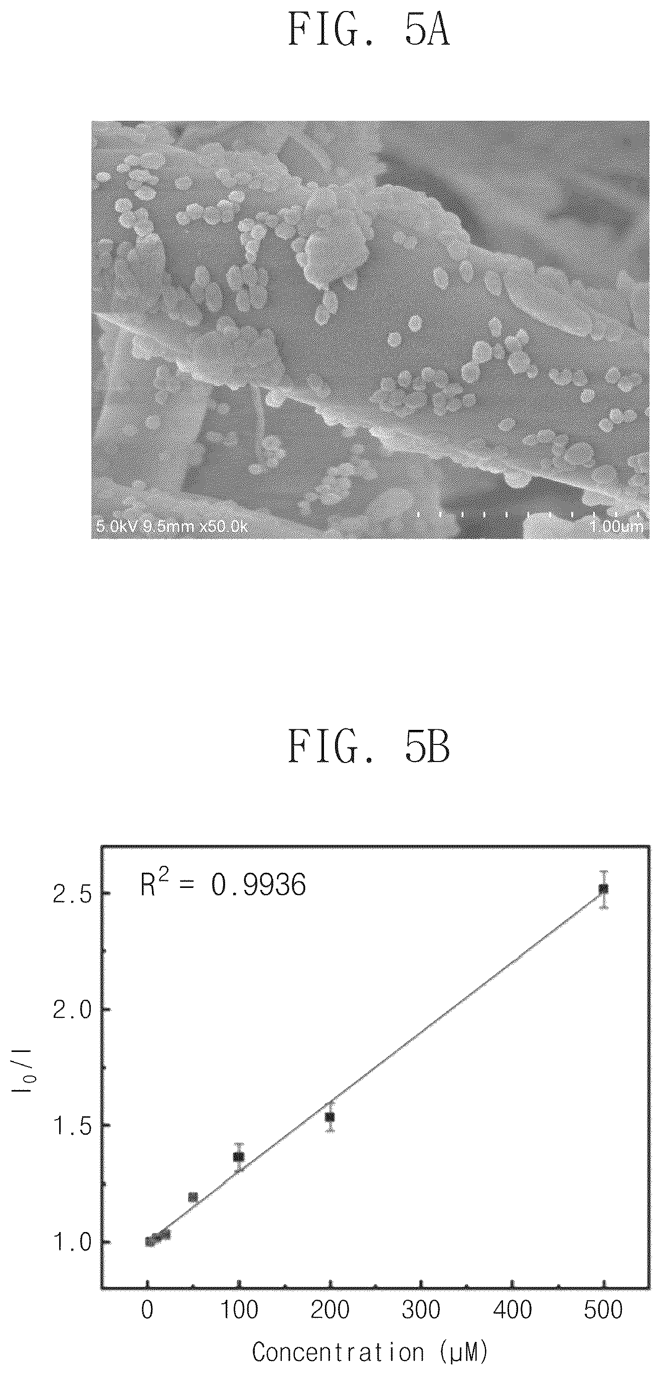 Patent US12339228 Figure 5 – Nanoparticles for sensing phosphate, method for manufacturing the same, and membrane for sensing phosphate including the same
