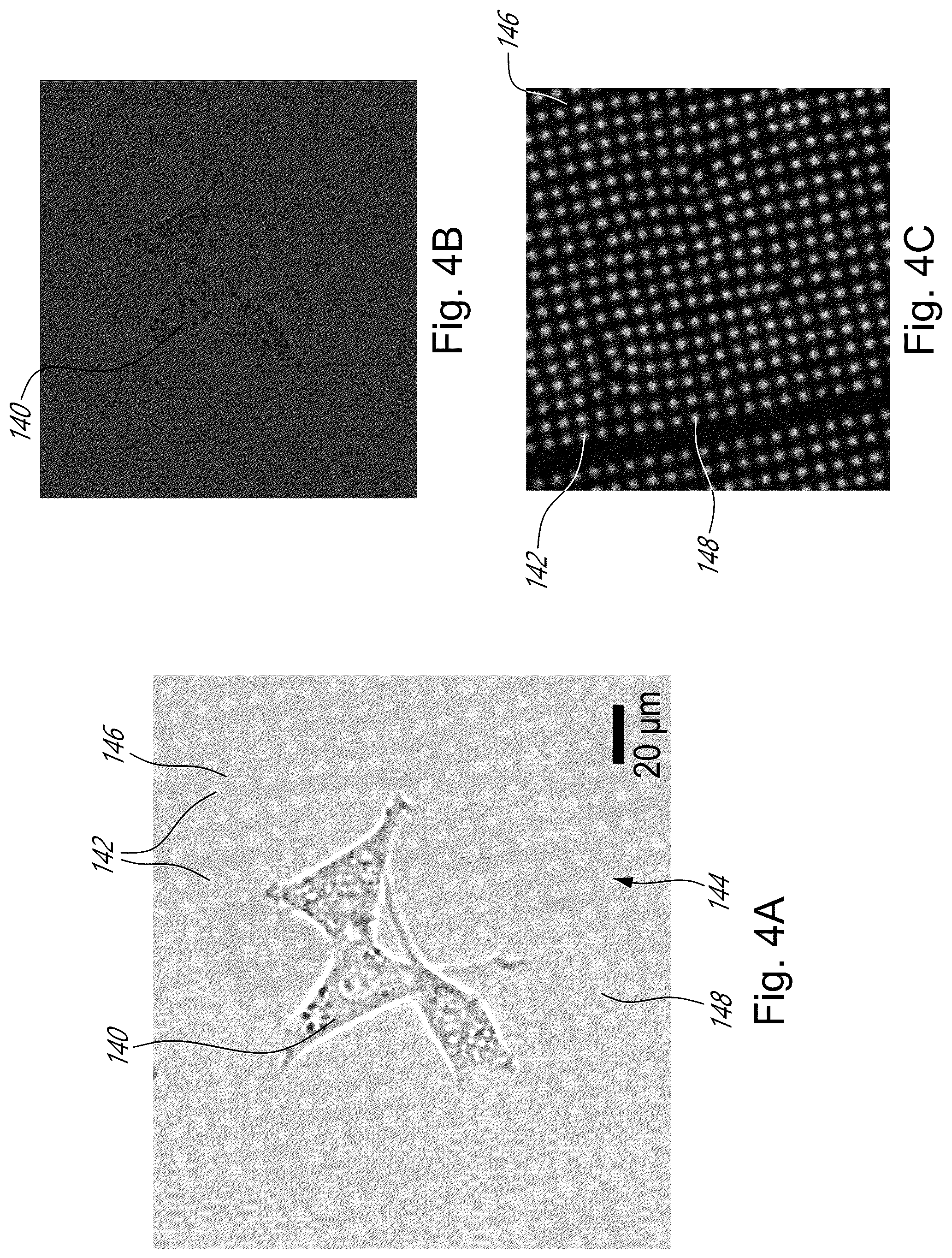 Patent US12339231 Figure 4 – Method and device for measuring cell contractility