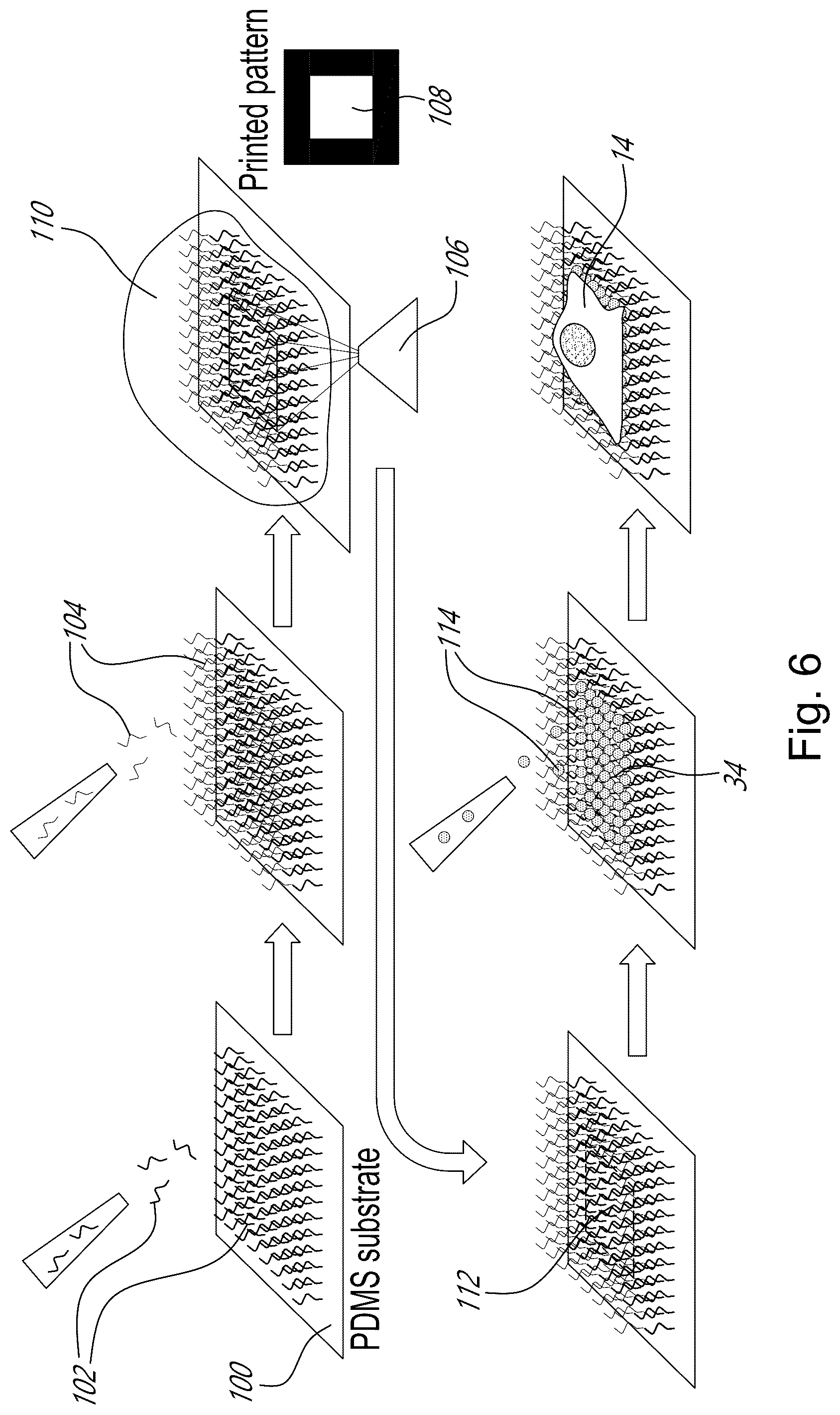 Patent US12339231 Figure 6 – Method and device for measuring cell contractility