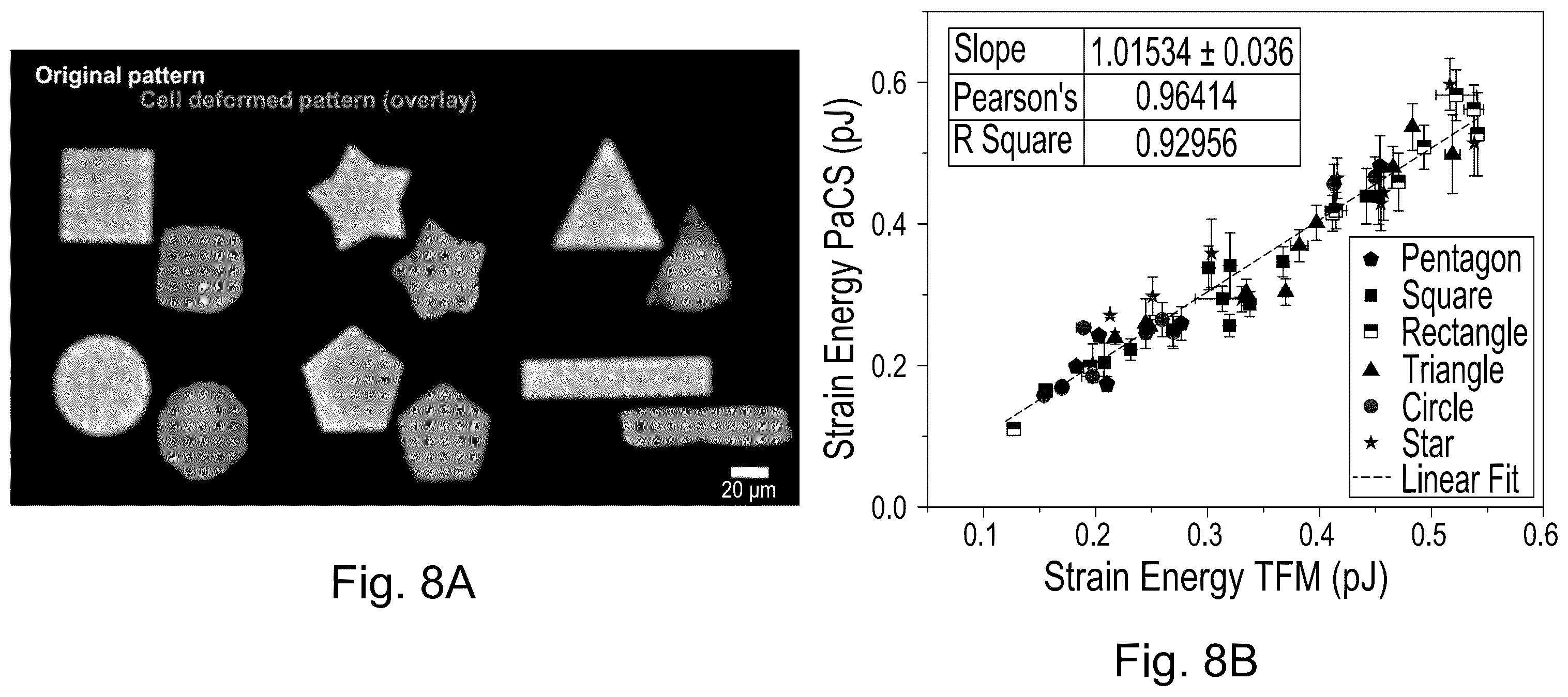 Patent US12339231 Figure 8 – Method and device for measuring cell contractility