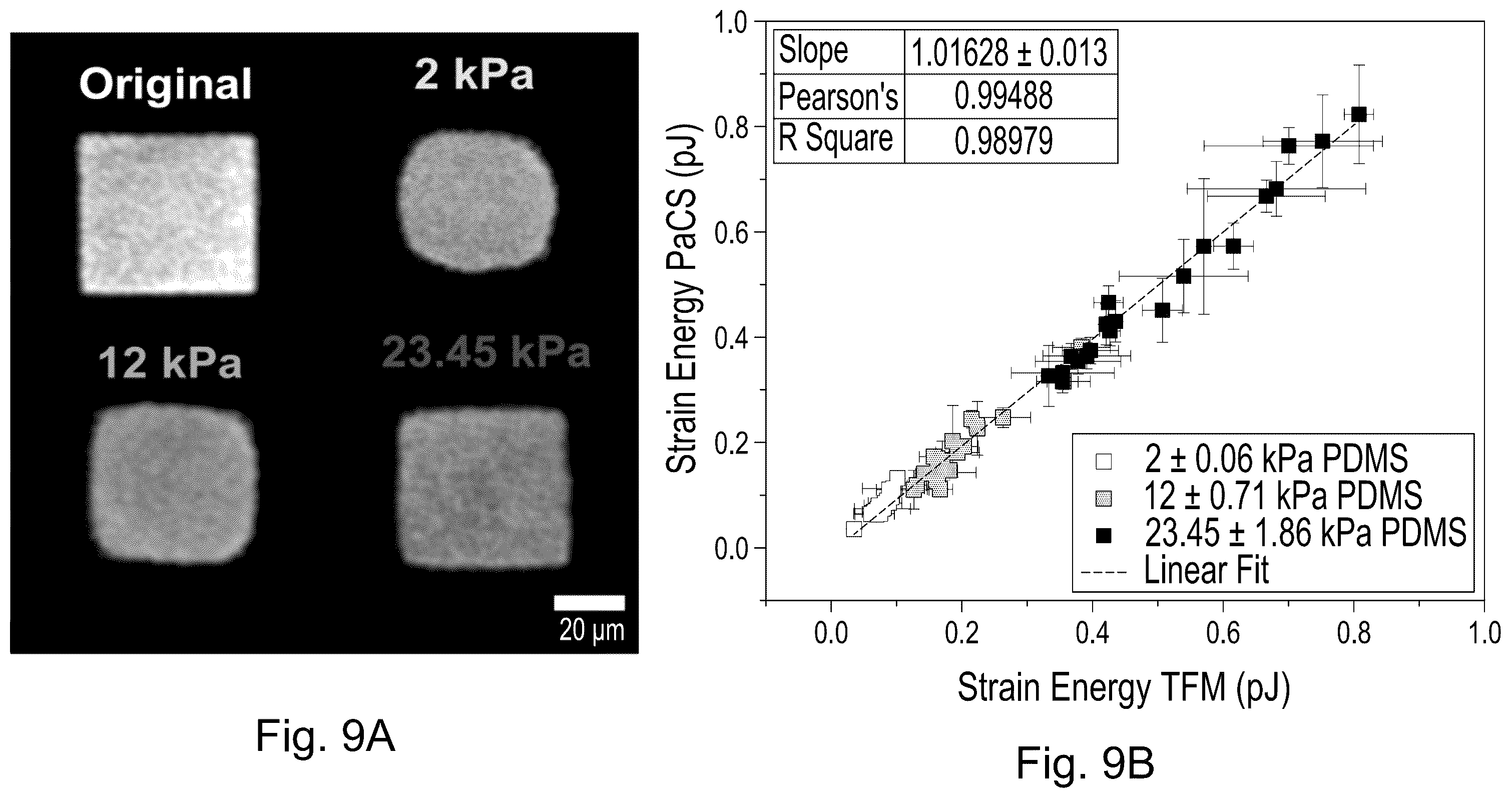 Patent US12339231 Figure 10 – Method and device for measuring cell contractility