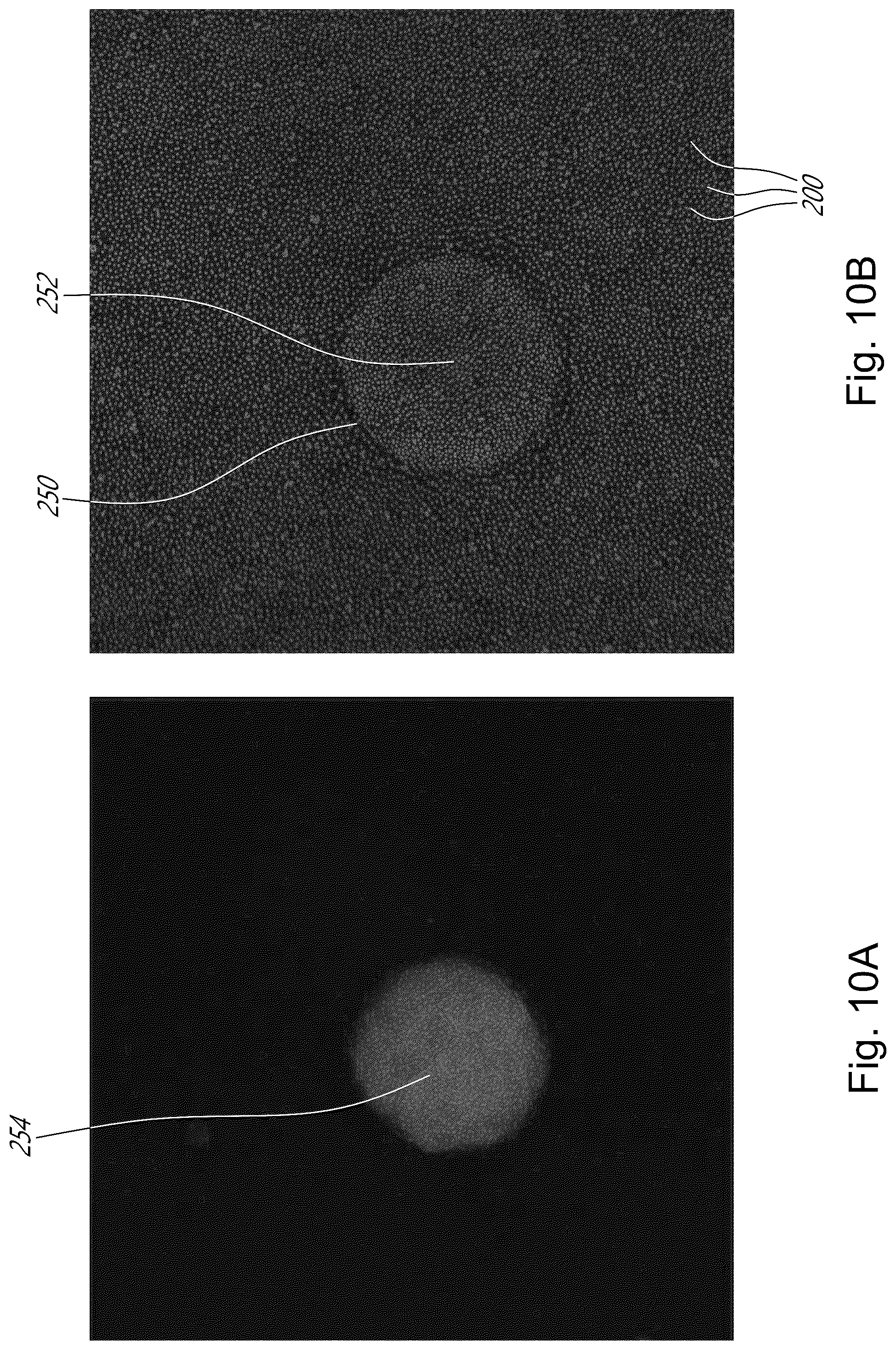 Patent US12339231 Figure 12 – Method and device for measuring cell contractility