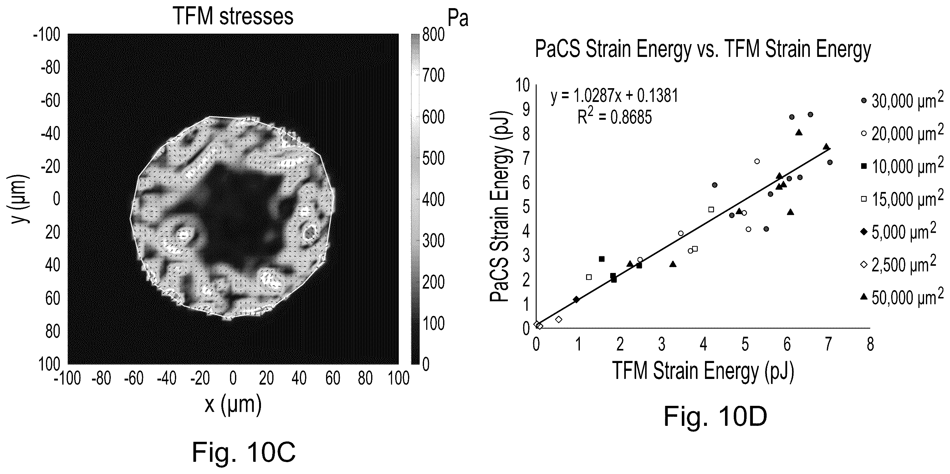 Patent US12339231 Figure 13 – Method and device for measuring cell contractility