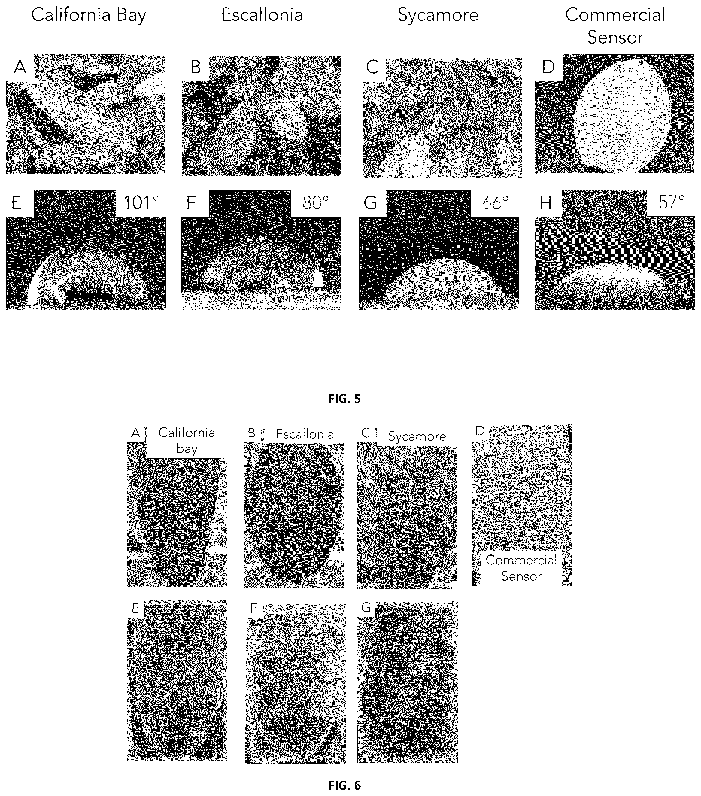 Patent US12339246 Figure 3 – Biomimetic leaf wetness sensor and method of manufacture of the same