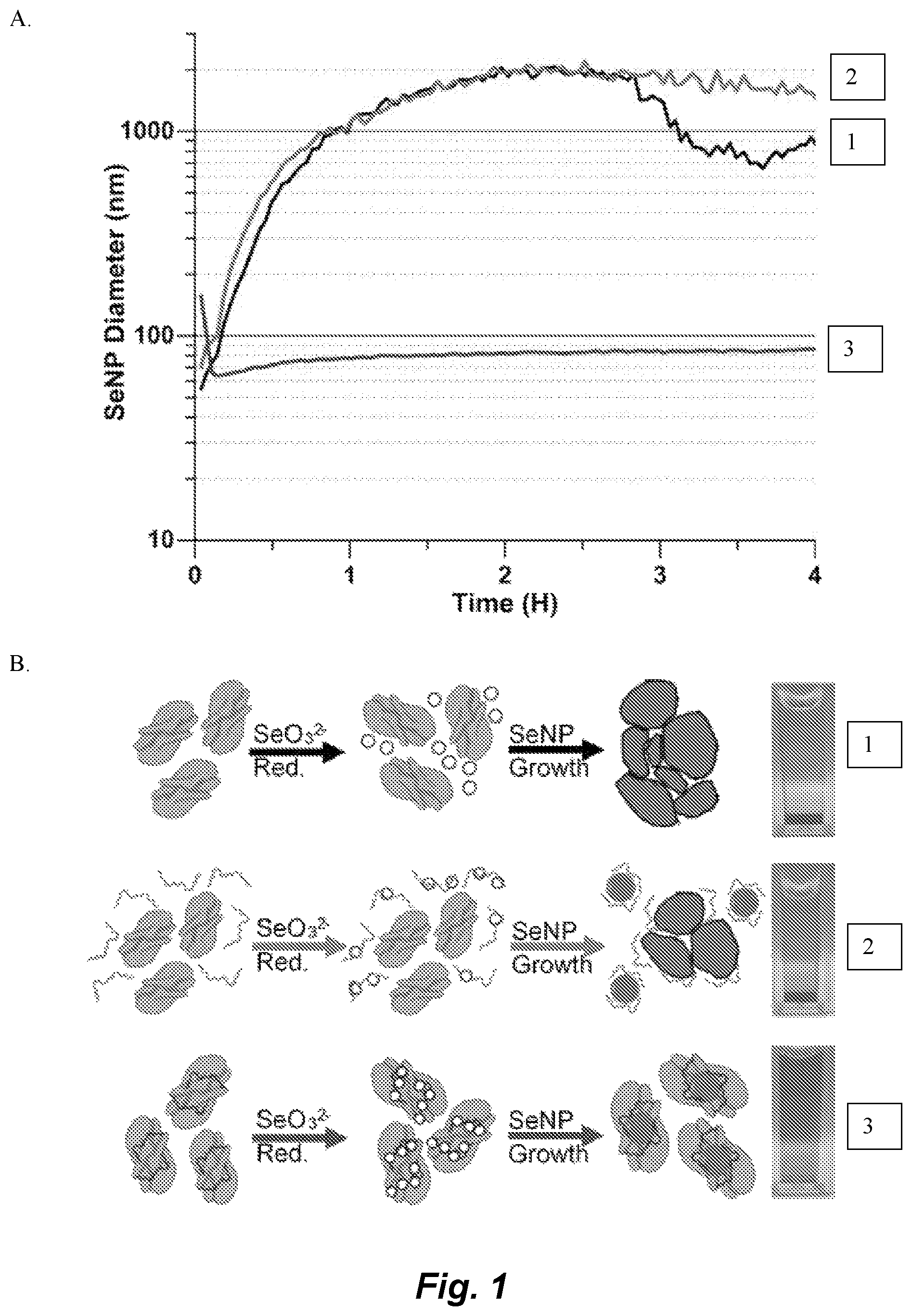 Patent US12339286 Figure 1 – Metal-reducing enzymatic tag for optical and electron microscopy