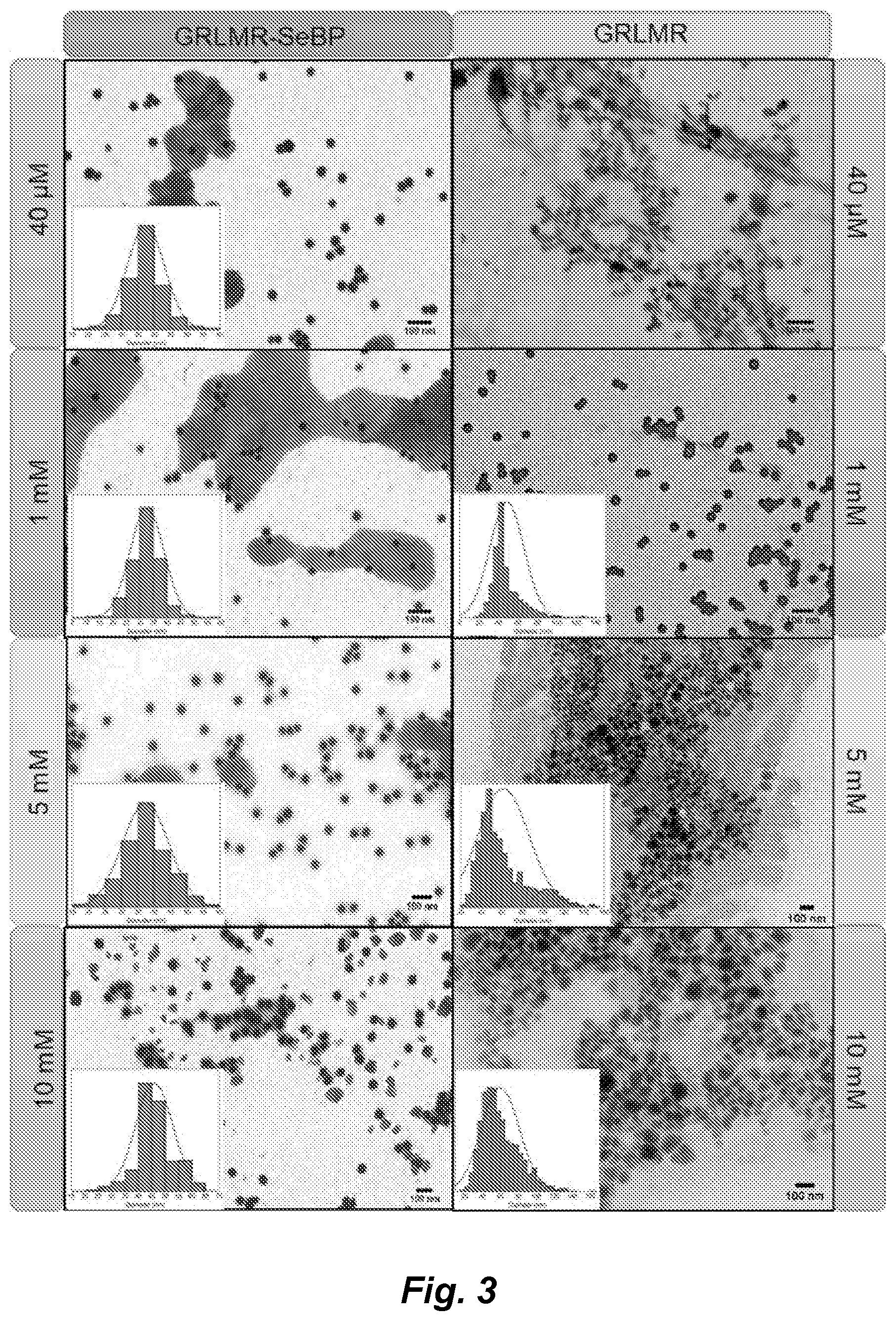 Patent US12339286 Figure 3 – Metal-reducing enzymatic tag for optical and electron microscopy