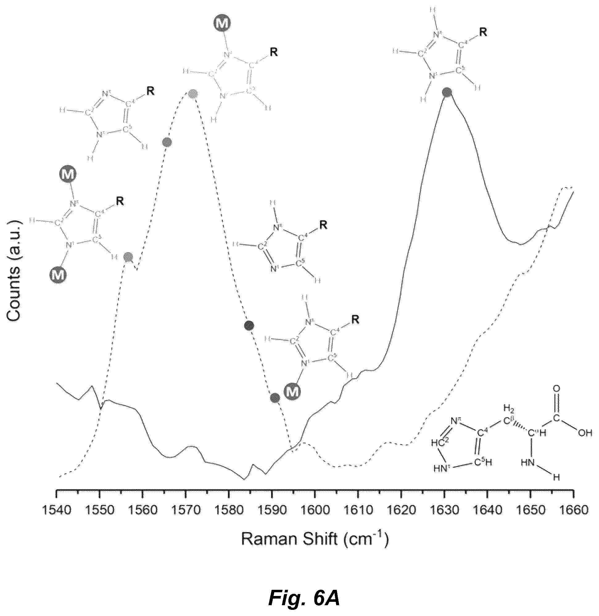 Patent US12339286 Figure 6 – Metal-reducing enzymatic tag for optical and electron microscopy
