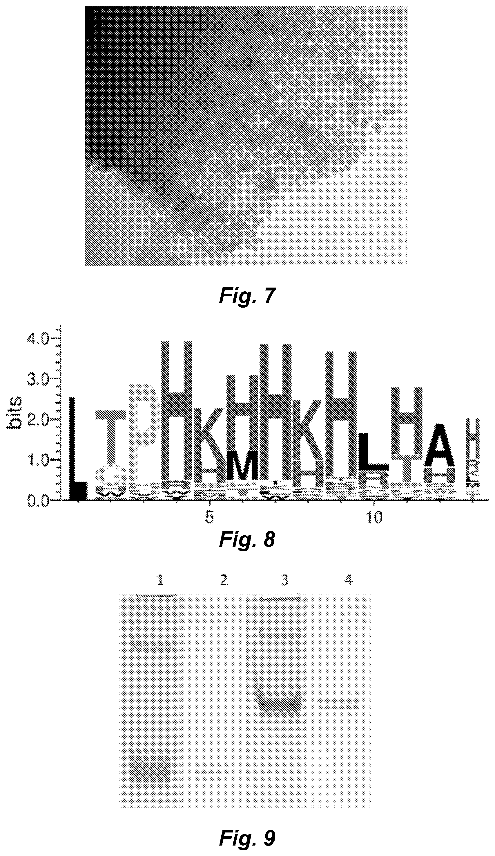 Patent US12339286 Figure 8 – Metal-reducing enzymatic tag for optical and electron microscopy