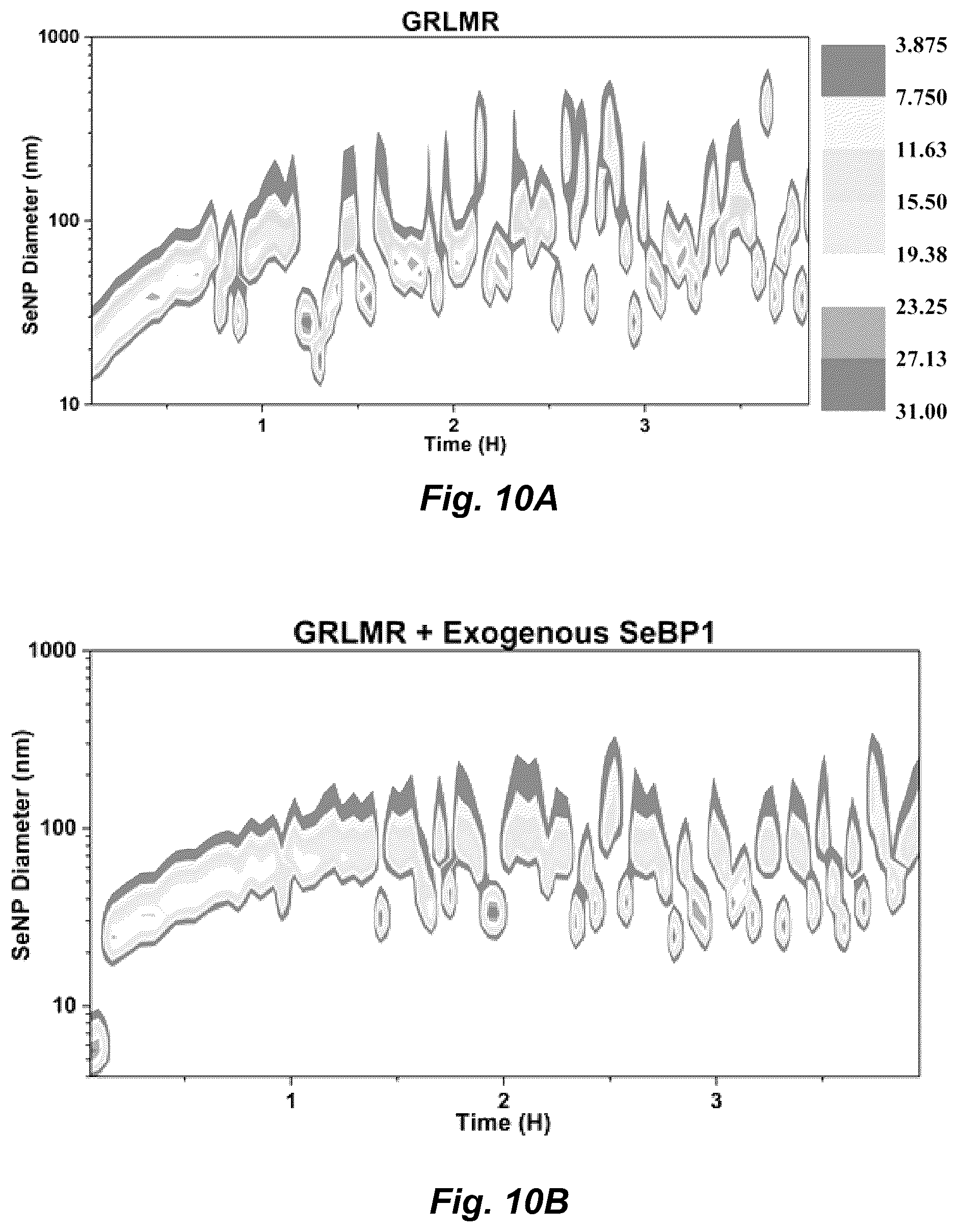 Patent US12339286 Figure 9 – Metal-reducing enzymatic tag for optical and electron microscopy