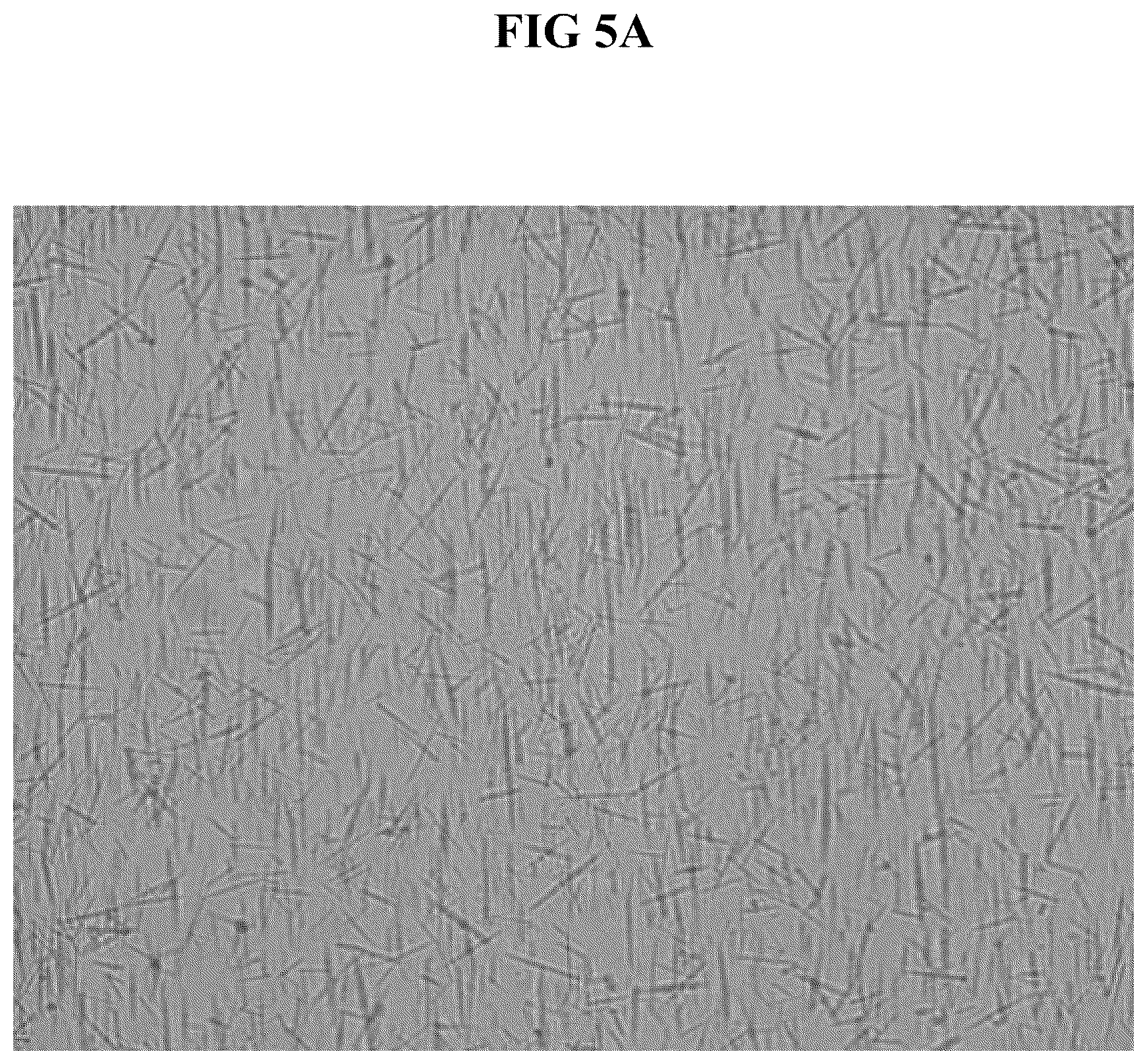 Patent US12339479 Figure 5 – Polarizing plate and optical display apparatus comprising the same